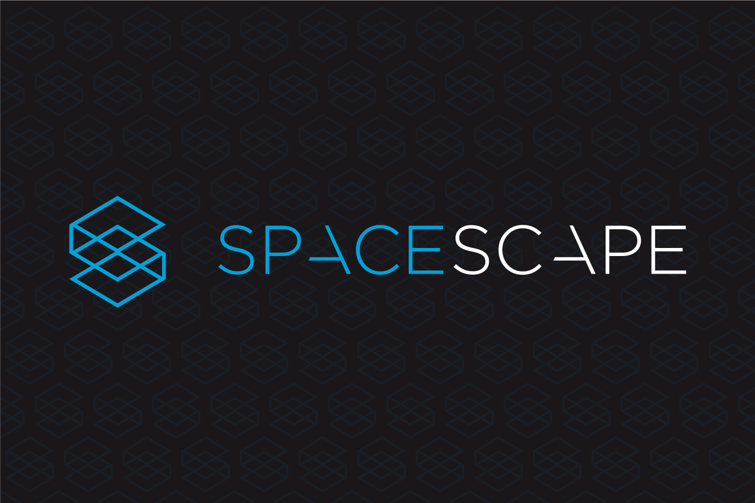 Spacescape brand identity