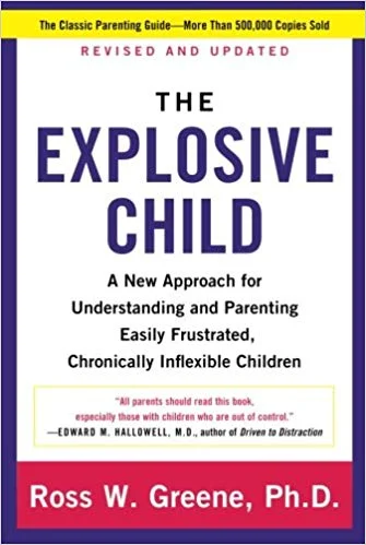 The Explosive Child.jpg