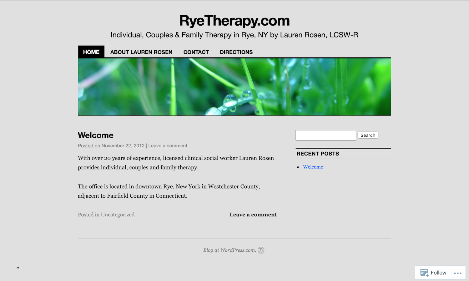rye-therapy.png