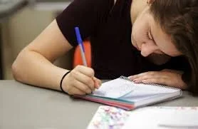 Essay Writing Template