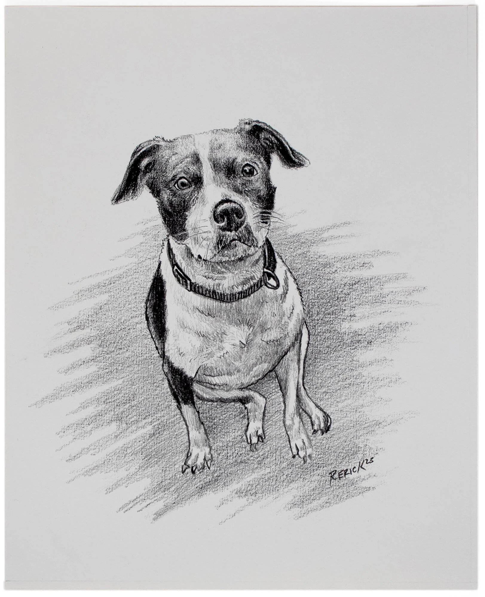 A46_WoodsDog_IMG_4392_slide2000.jpg