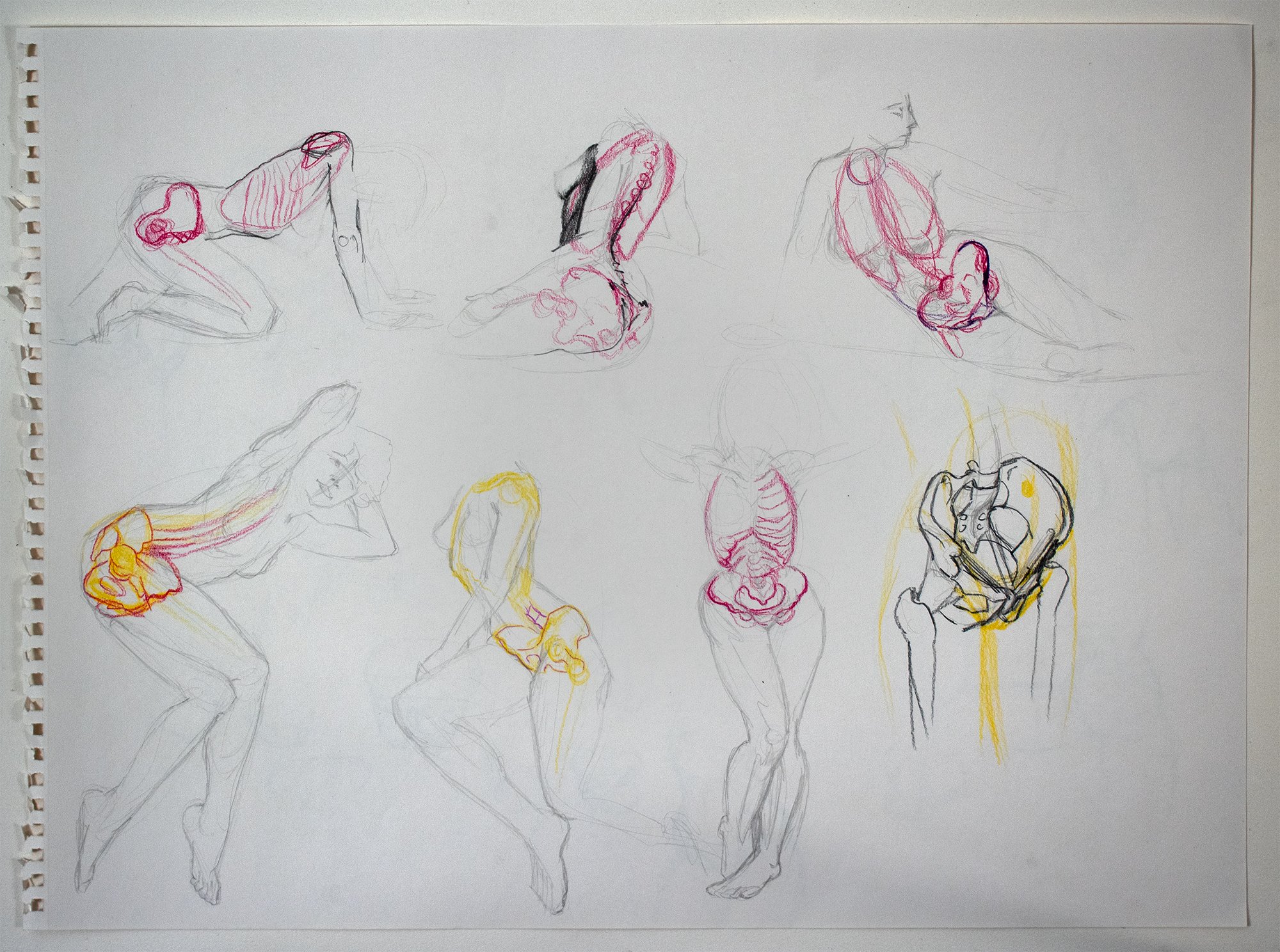 A20_DrawingHips_18x24_IMG_4304_slide2000.jpg