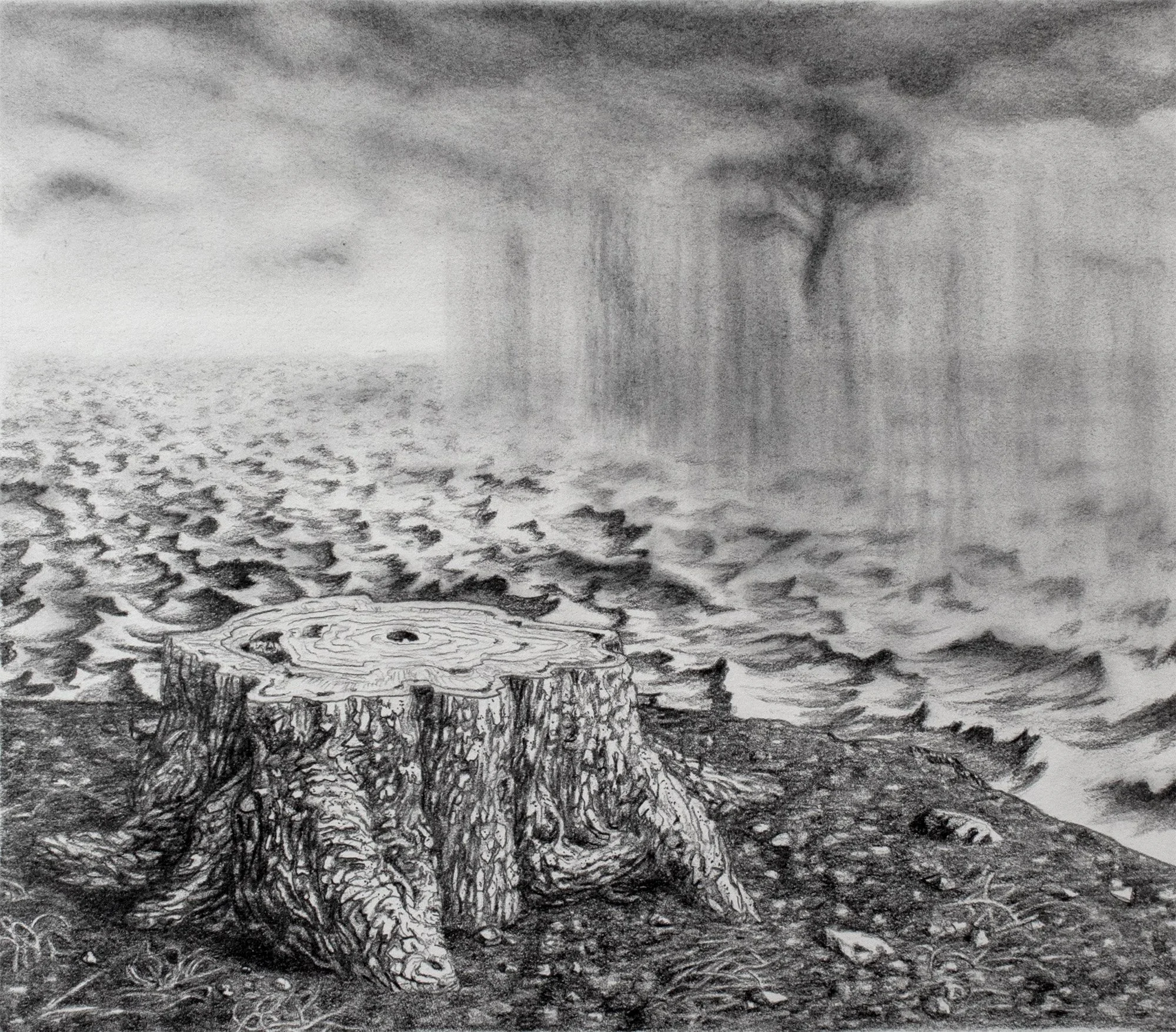  Phantom Limb  
Drawing on Paper, 11.5x9.5 inches, 2021