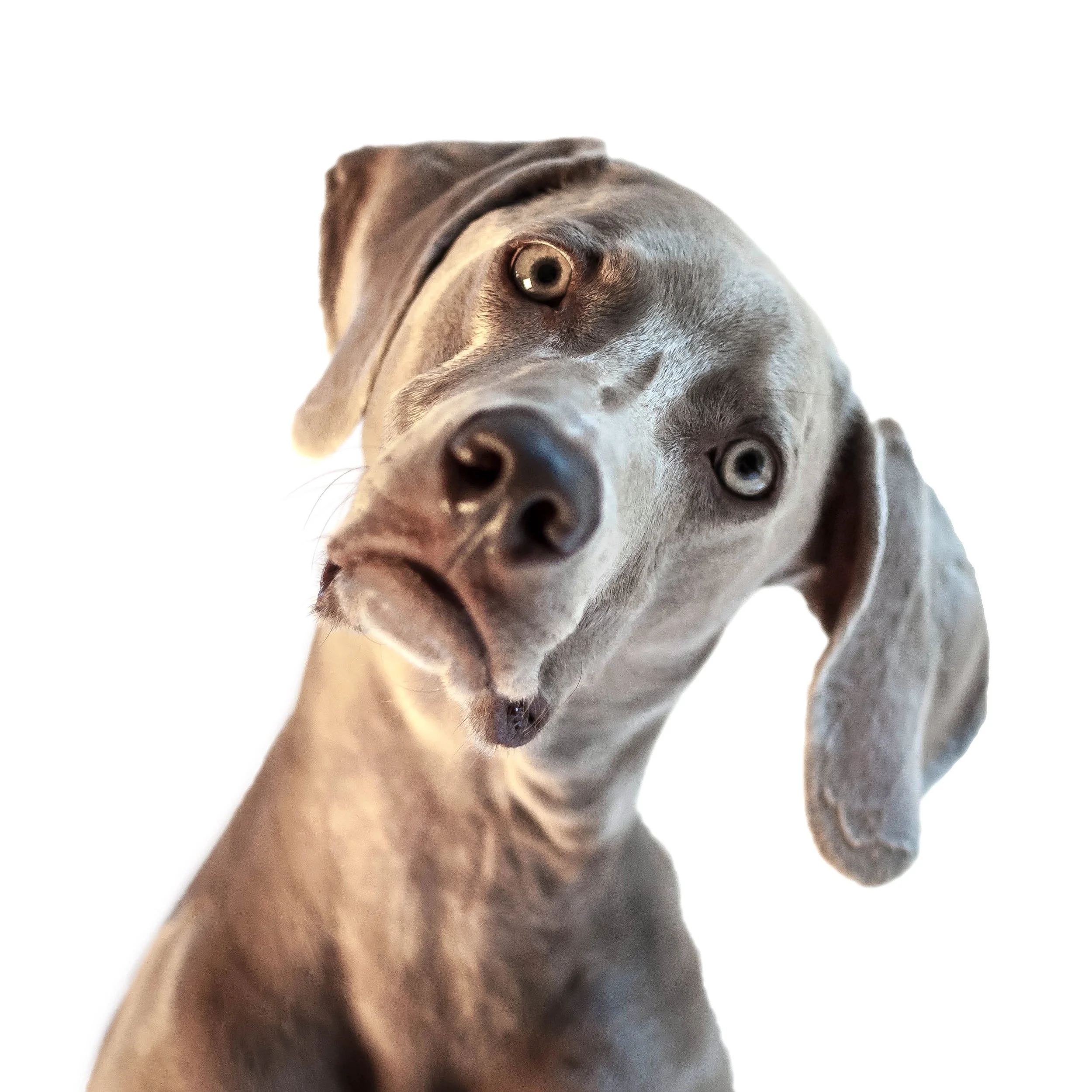 iStock-509119713.jpg