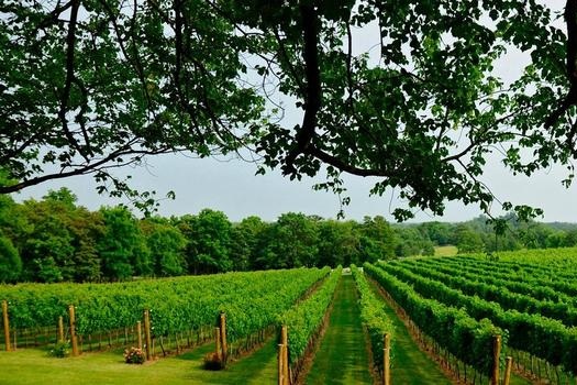 Grange+Green.jpg
