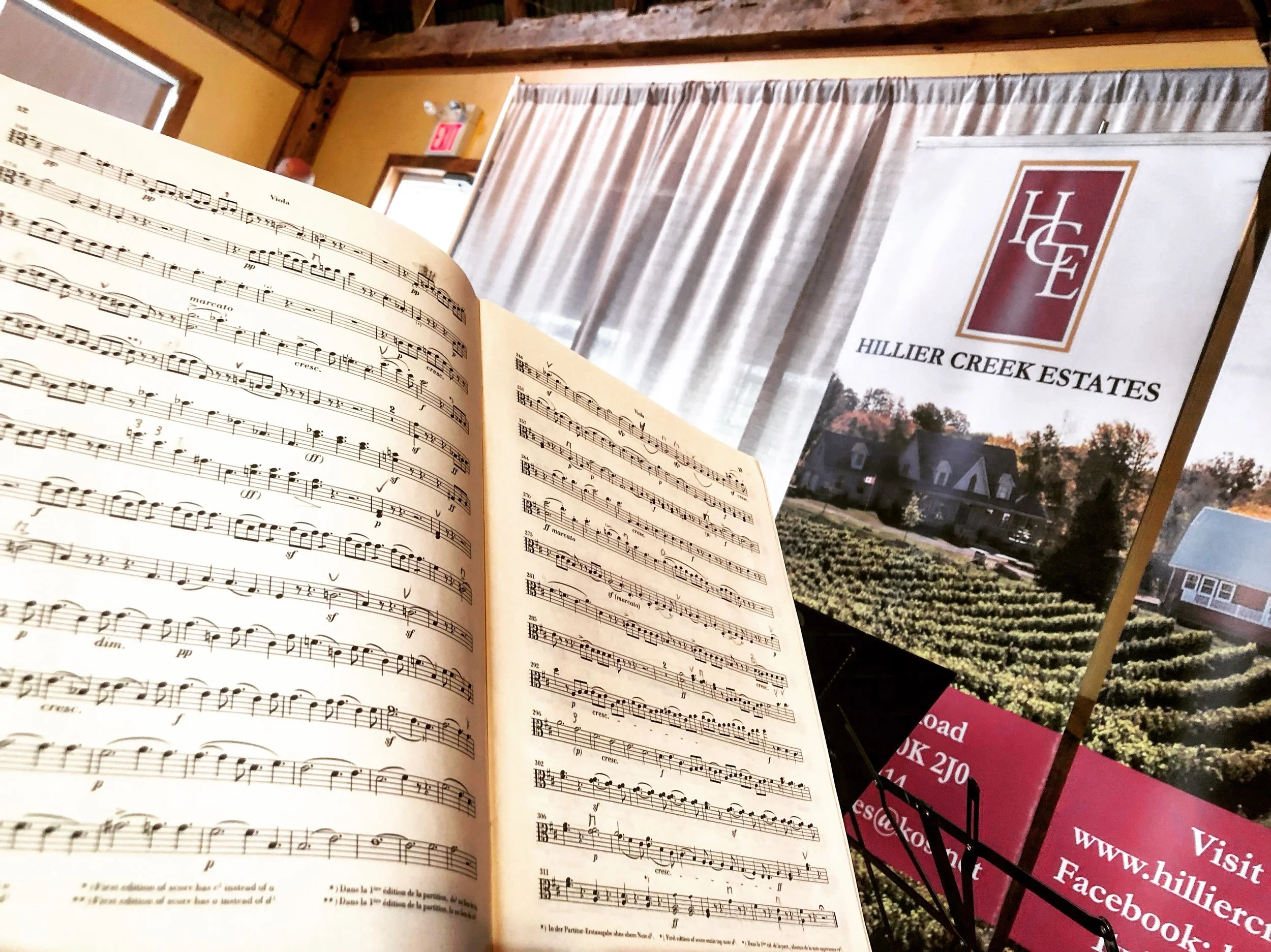 Hillier Juillette.jpeg