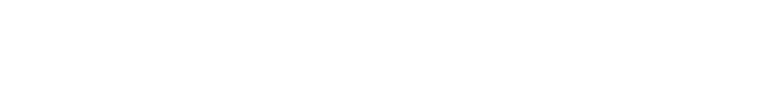 Breathex 2019 Logo_extra extra wide-01-01.png