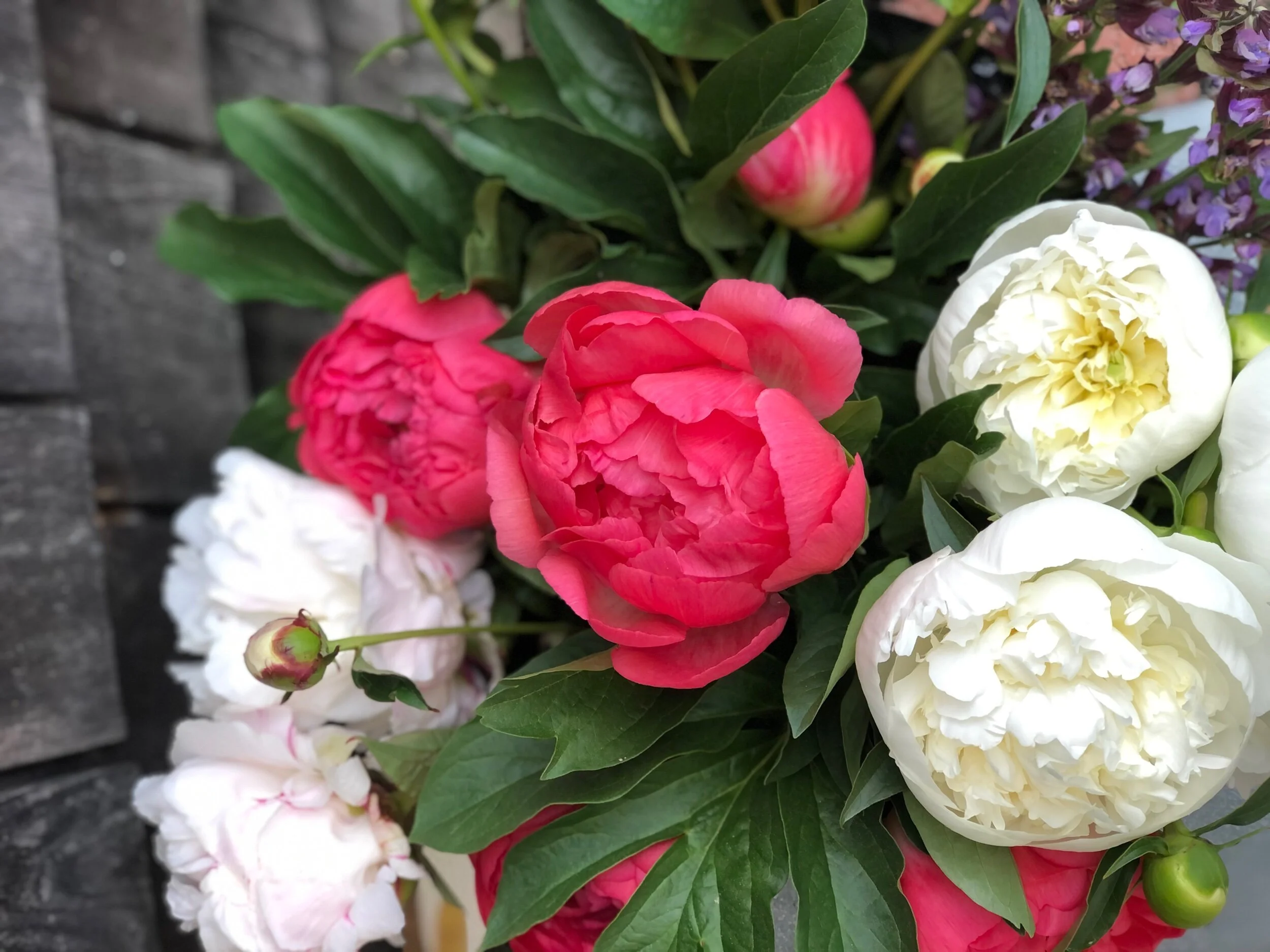 CE830A36-65F0-4D9B-830D-8B679D50CA11