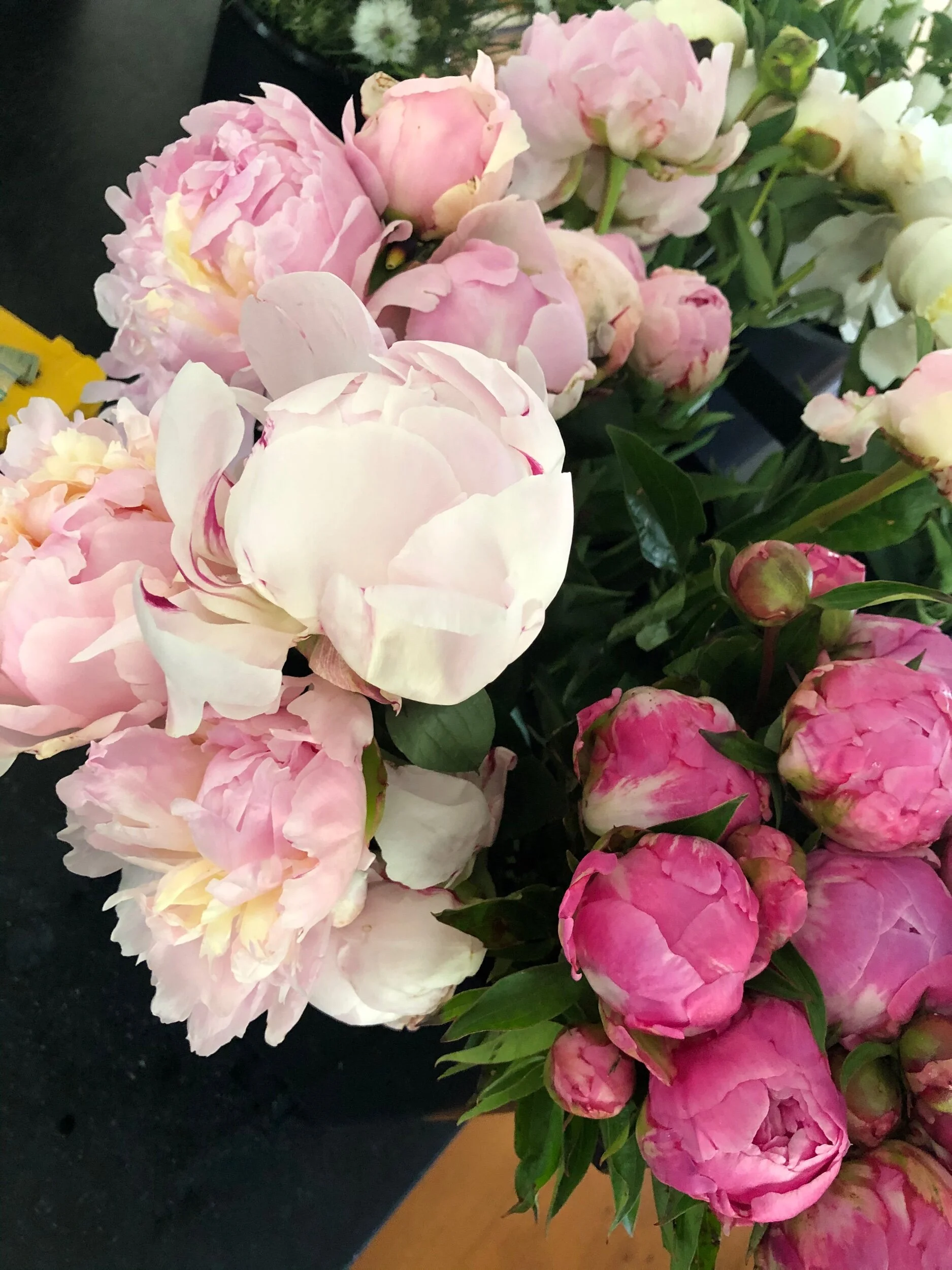 7571E5C3-C0A0-4D37-A9EA-2DC99D8A6151