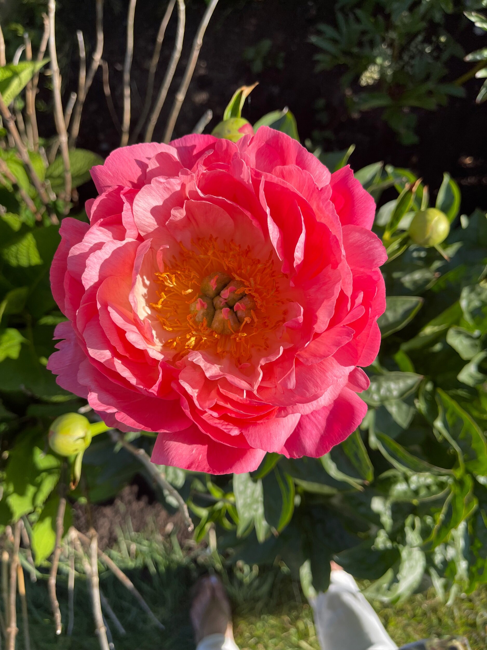 9901661A-FB4C-4B89-BCDB-396D0F1766F2