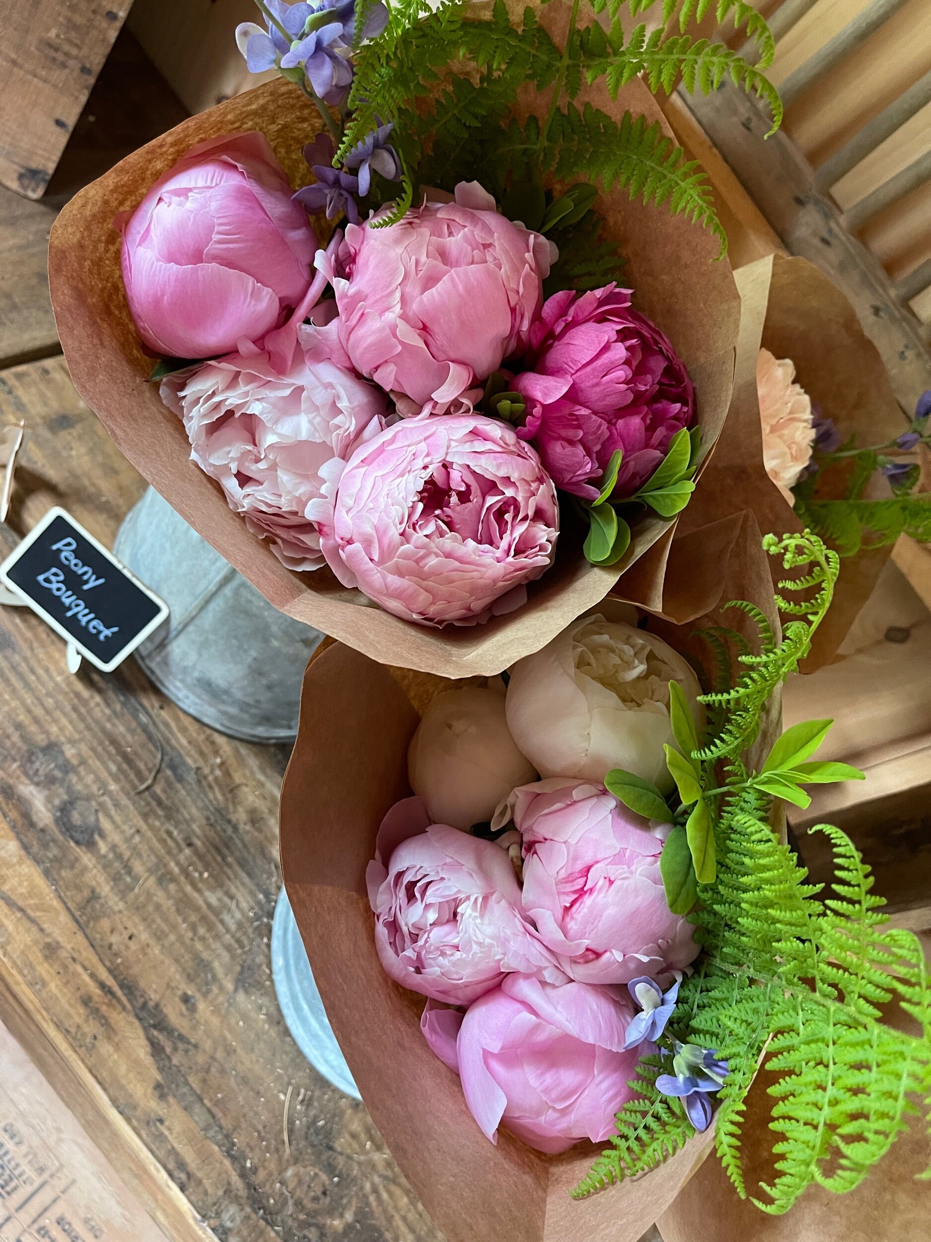 43BA14FF-7EFA-41BB-8AB2-230A076695CD