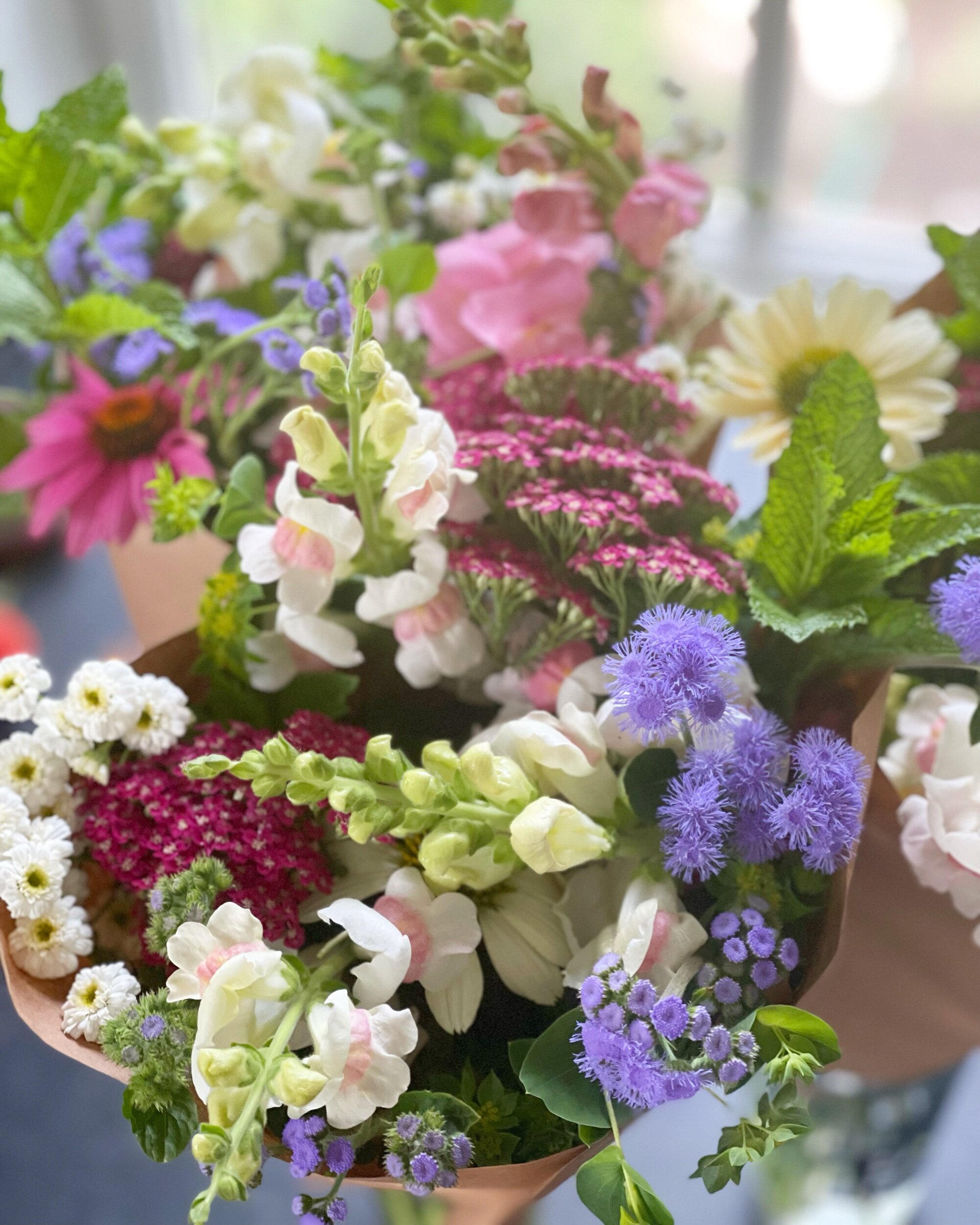 4B1B7865-DEDA-4A25-824B-EC262B40CFB1