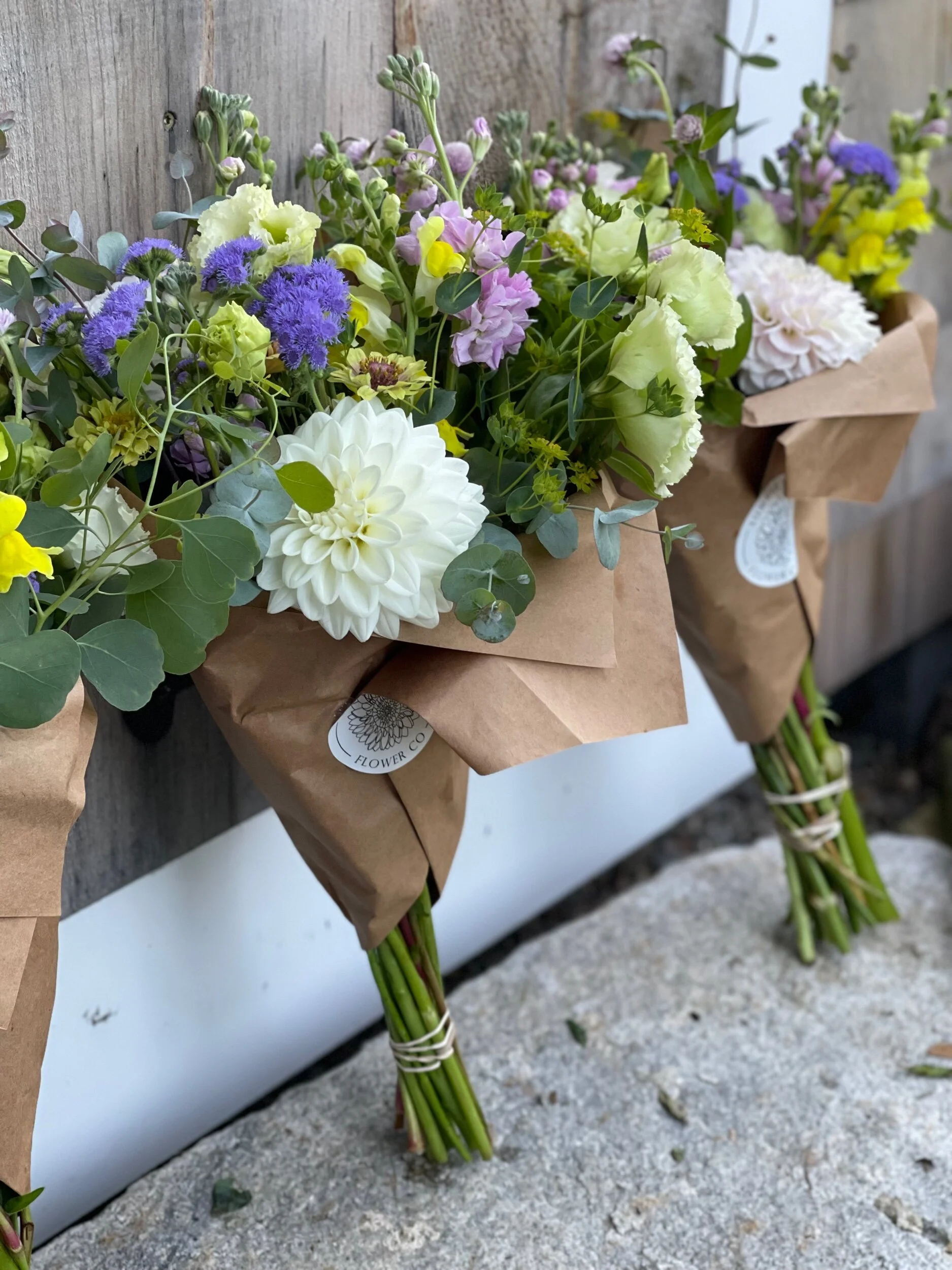 387752F0-2B32-4FC5-8A42-E0B602DD41CE