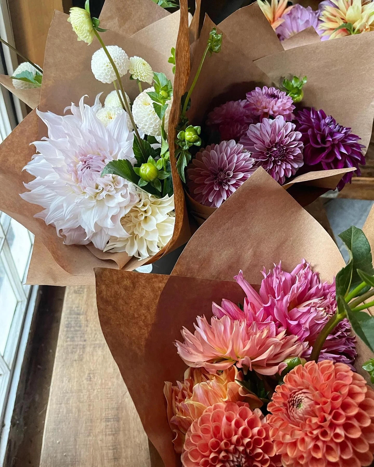 CD12E55C-3F0A-4209-81B3-9389DDA18F5C