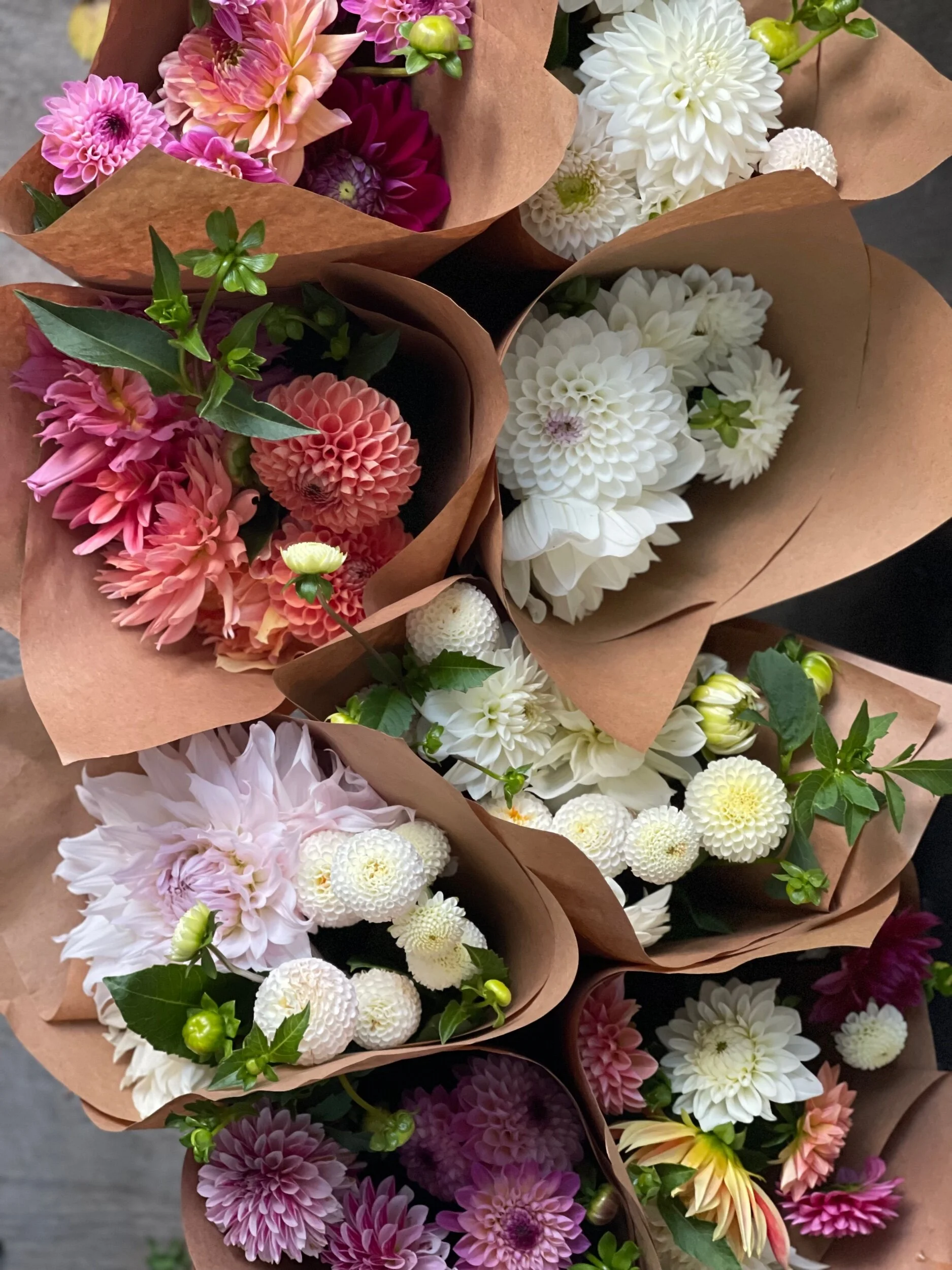 EE7B1011-5EF1-4448-B4C8-9D91FCA0E331