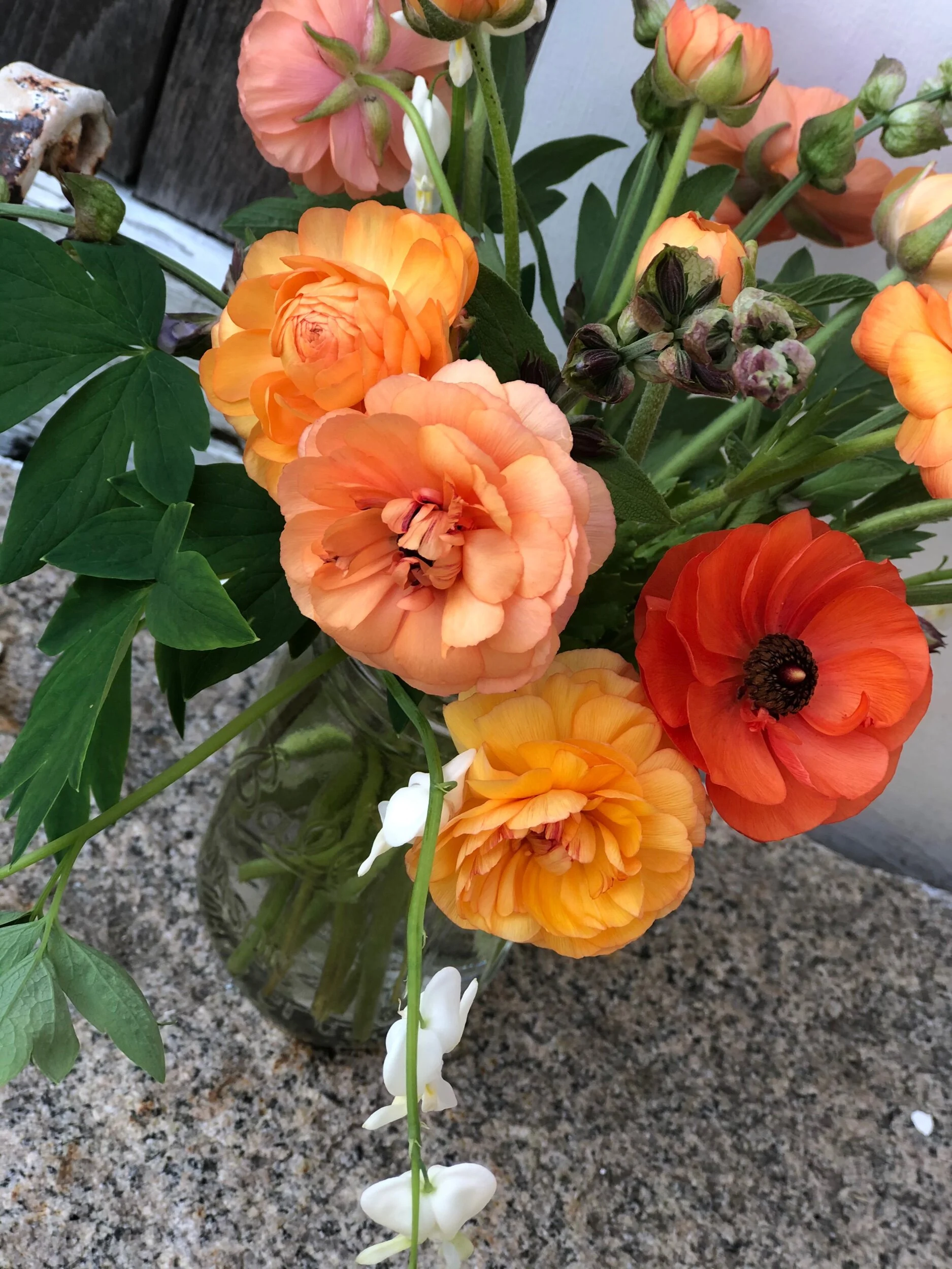 CD6D7681-377C-4546-851F-33AFDC46EC8C