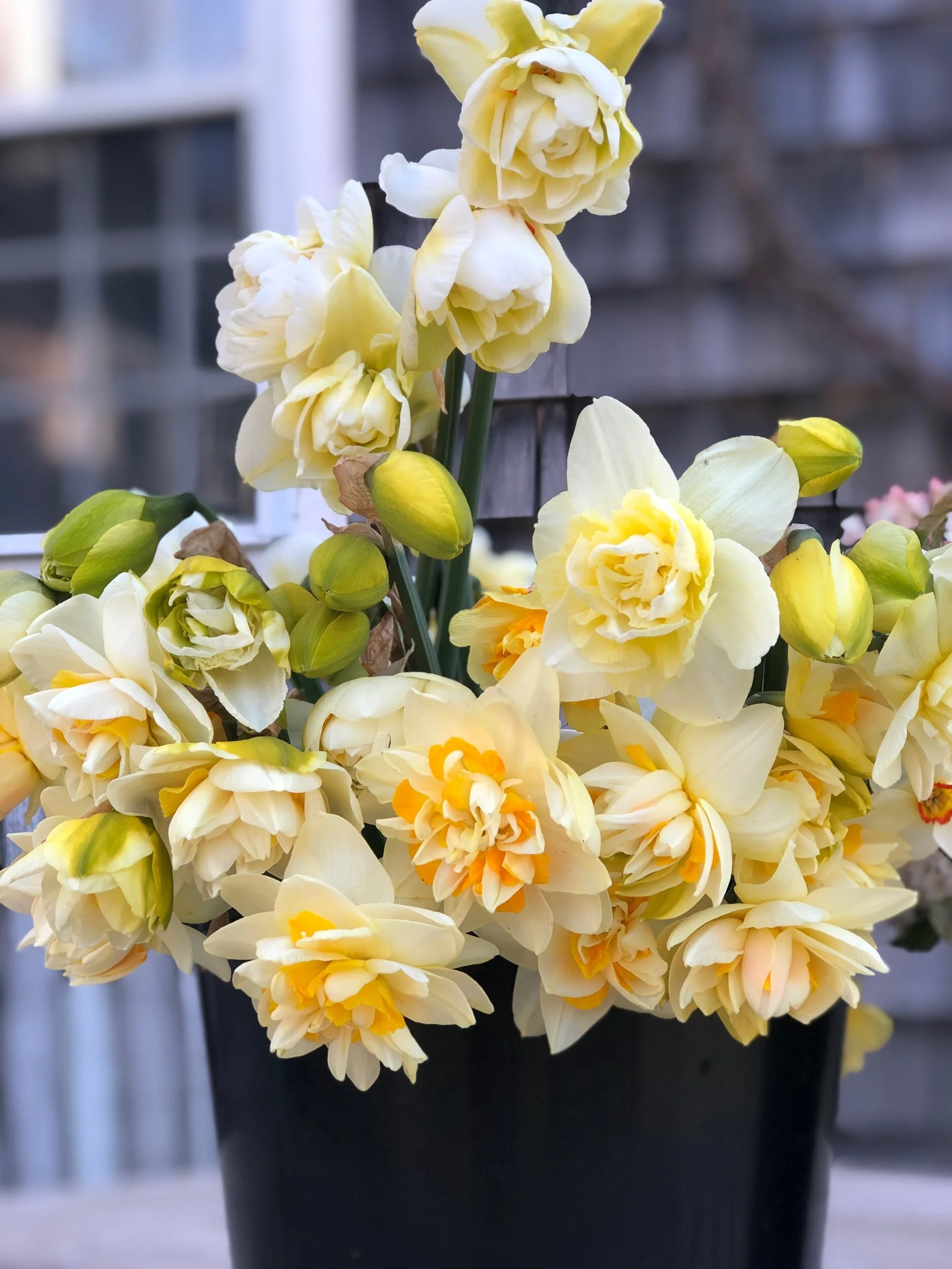 42163588-9588-4D6A-B6D5-CE870641C173