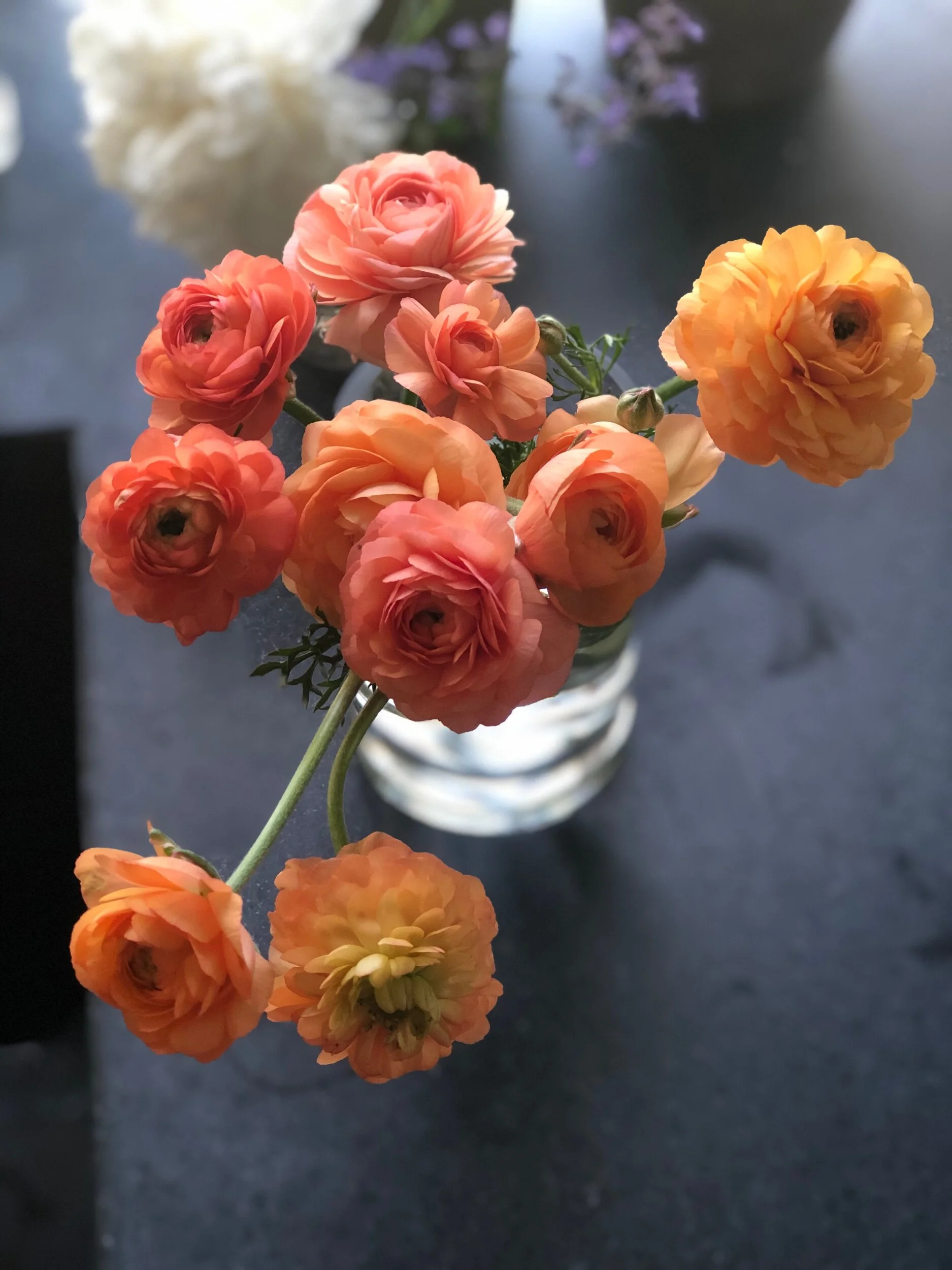 42FC5331-C525-4754-BAF8-E38F1E2083F3