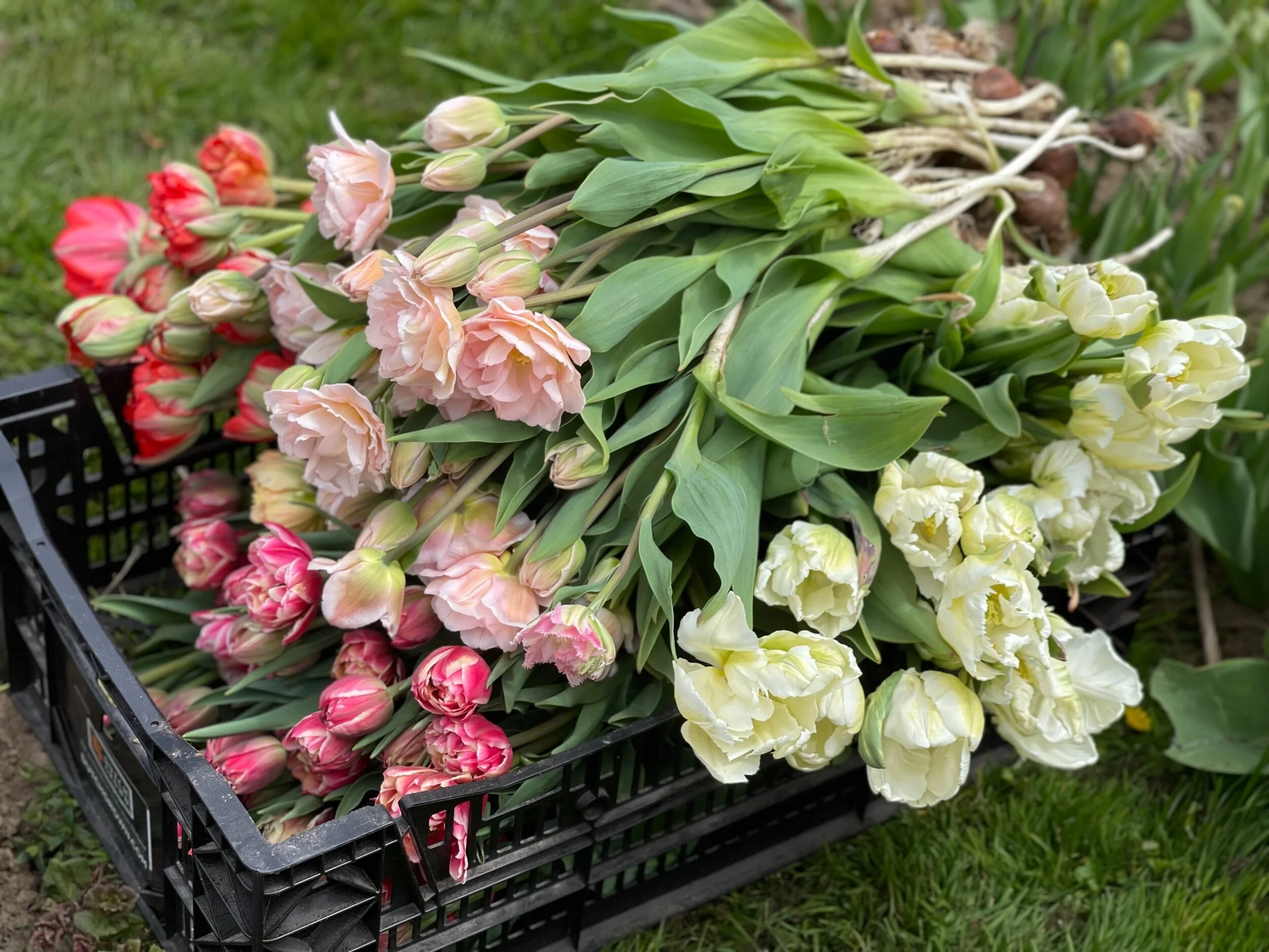 81CB48D2-B908-4D92-8722-40483E0BF187