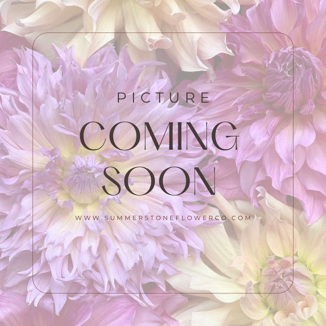 D6A390D1-E215-4E3A-9A03-9A307D969A8E