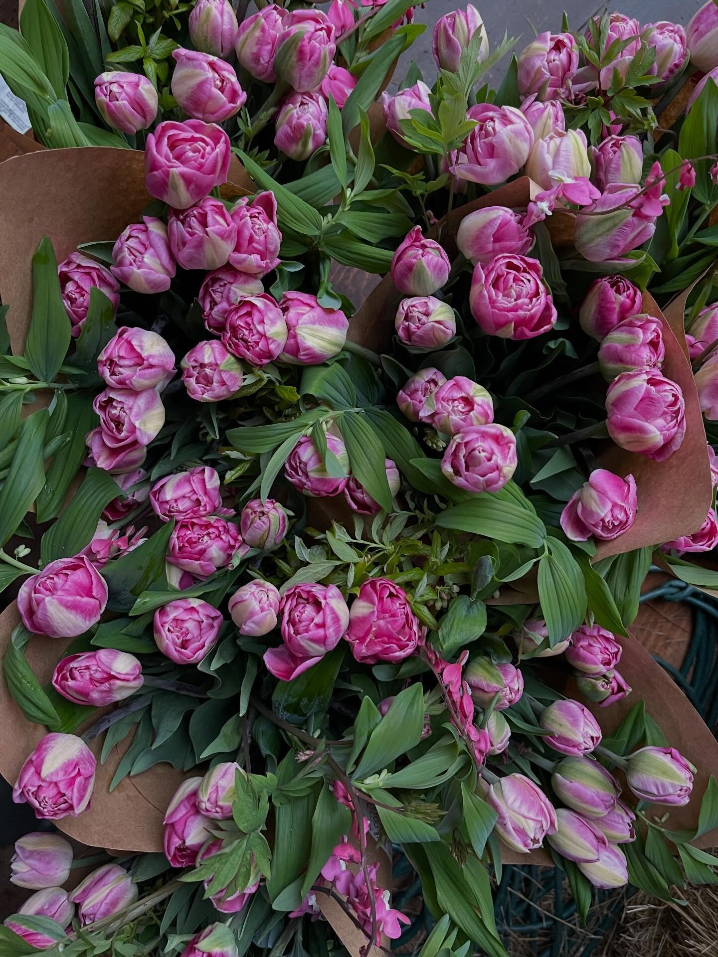 BIG announcement this weekend- you won&rsquo;t want to miss this one! 

Sun is back out today - so I&rsquo;m busy pulling tulips. My first round of doubles are in full swing! For all of you asking- I&rsquo;m finalizing some pick up locations and hope