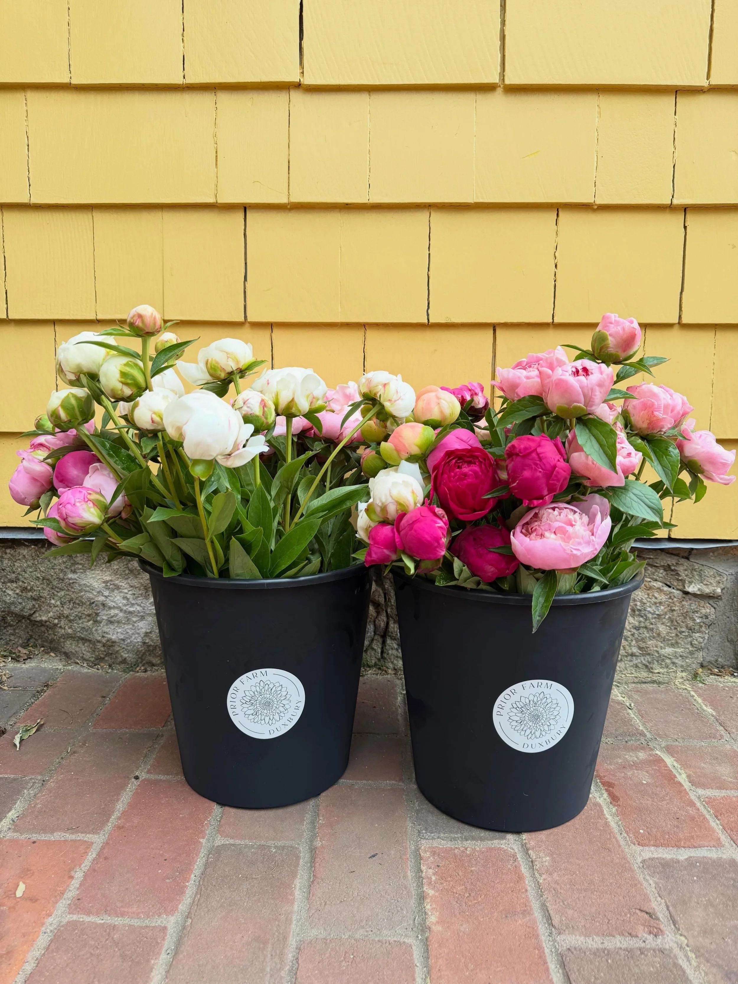 This weekend marks the final peony bouquets of the season at Hardly Saints. If you&rsquo;d like one last peony bouquet, stop by Hardly Saints this weekend or reserve yours online before they&rsquo;re gone. 

For a few short weeks each year, peonies s