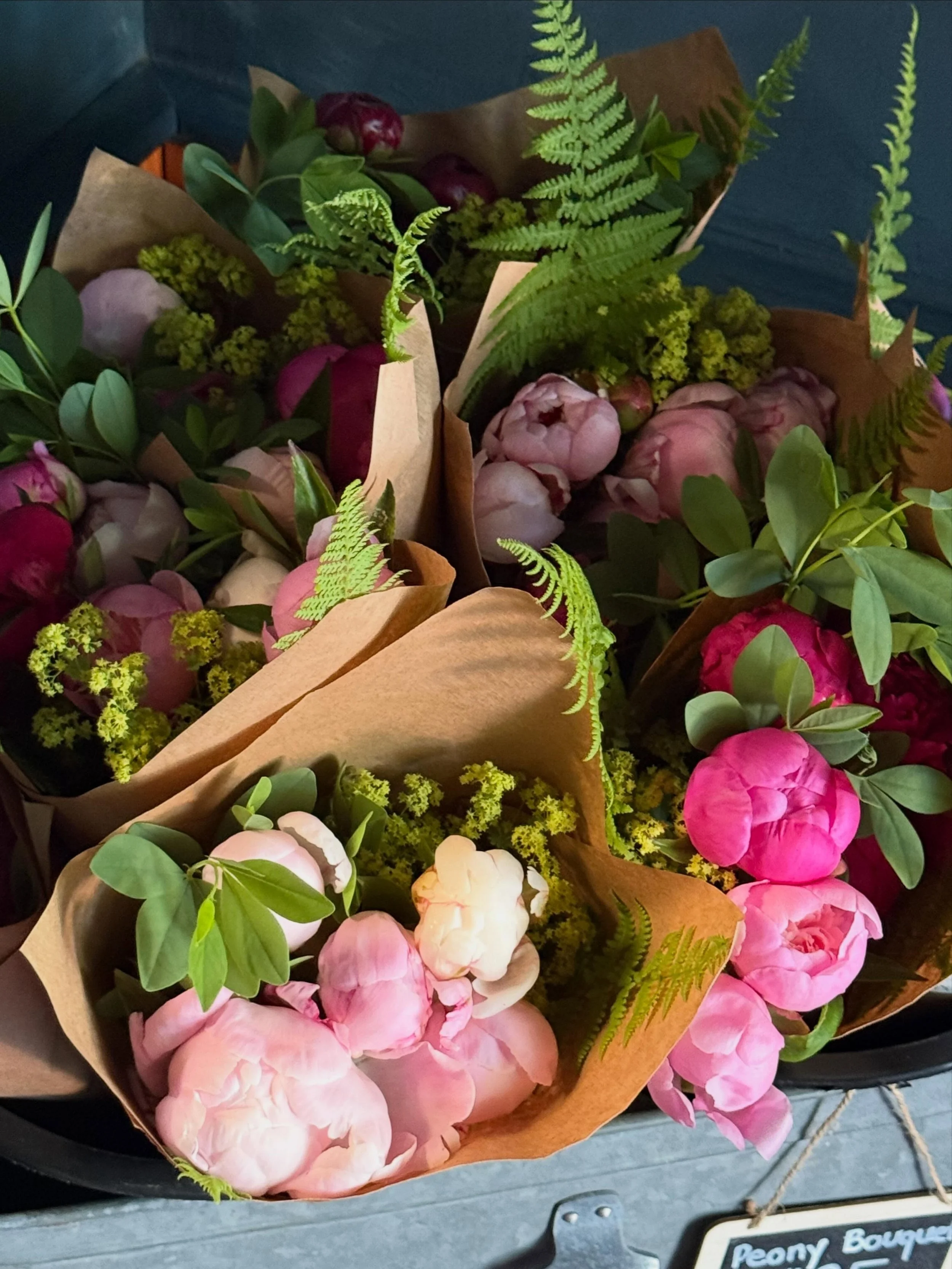 The last peony bouquets of the season have been dropped off at Hardly Saints. 🌱 

What a beautiful first peony season it has been. From the first coral blooms to these final armfuls, thank you for bringing Prior Farm flowers into your homes.

If you