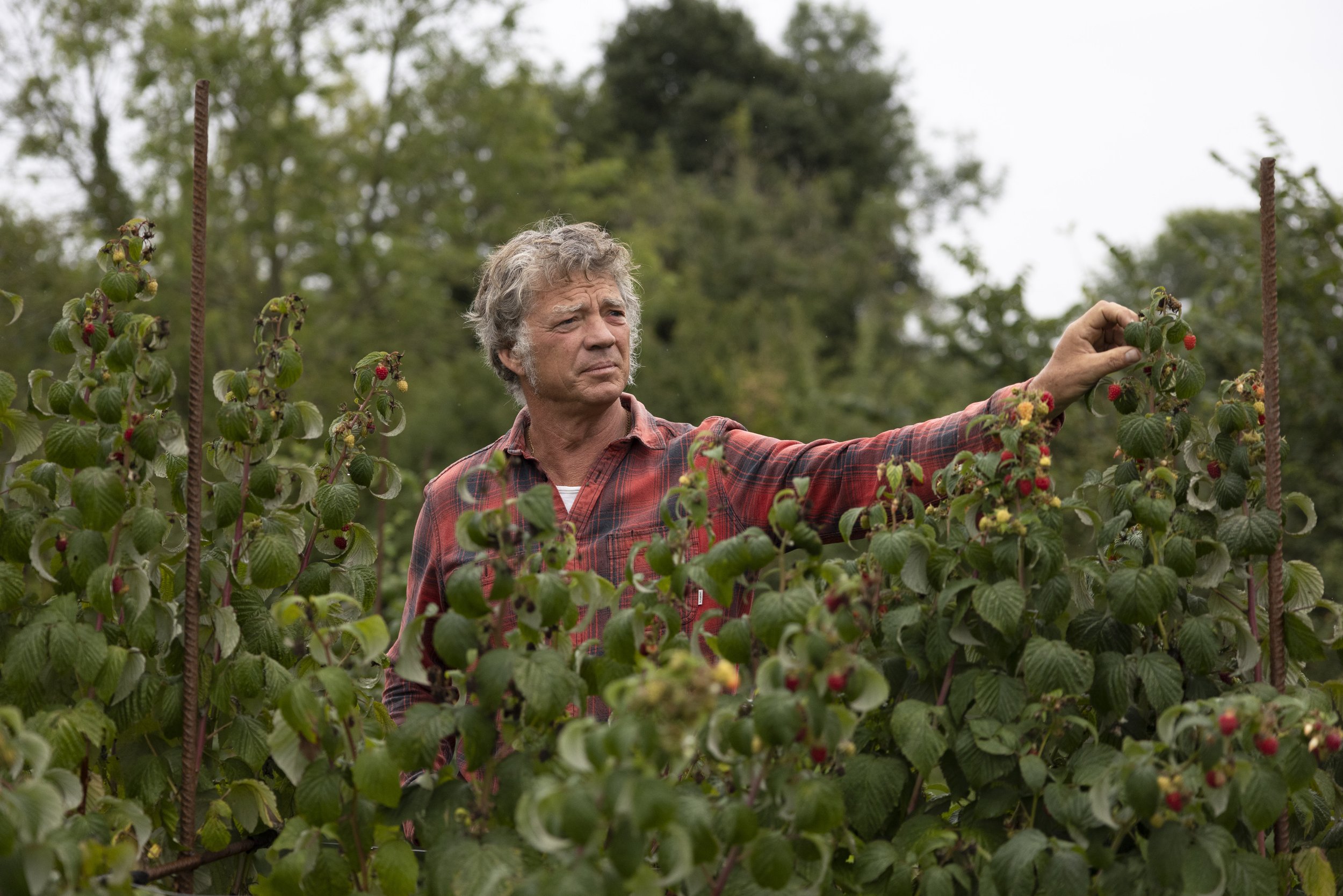  New Board Agenda Campaign text can go here   