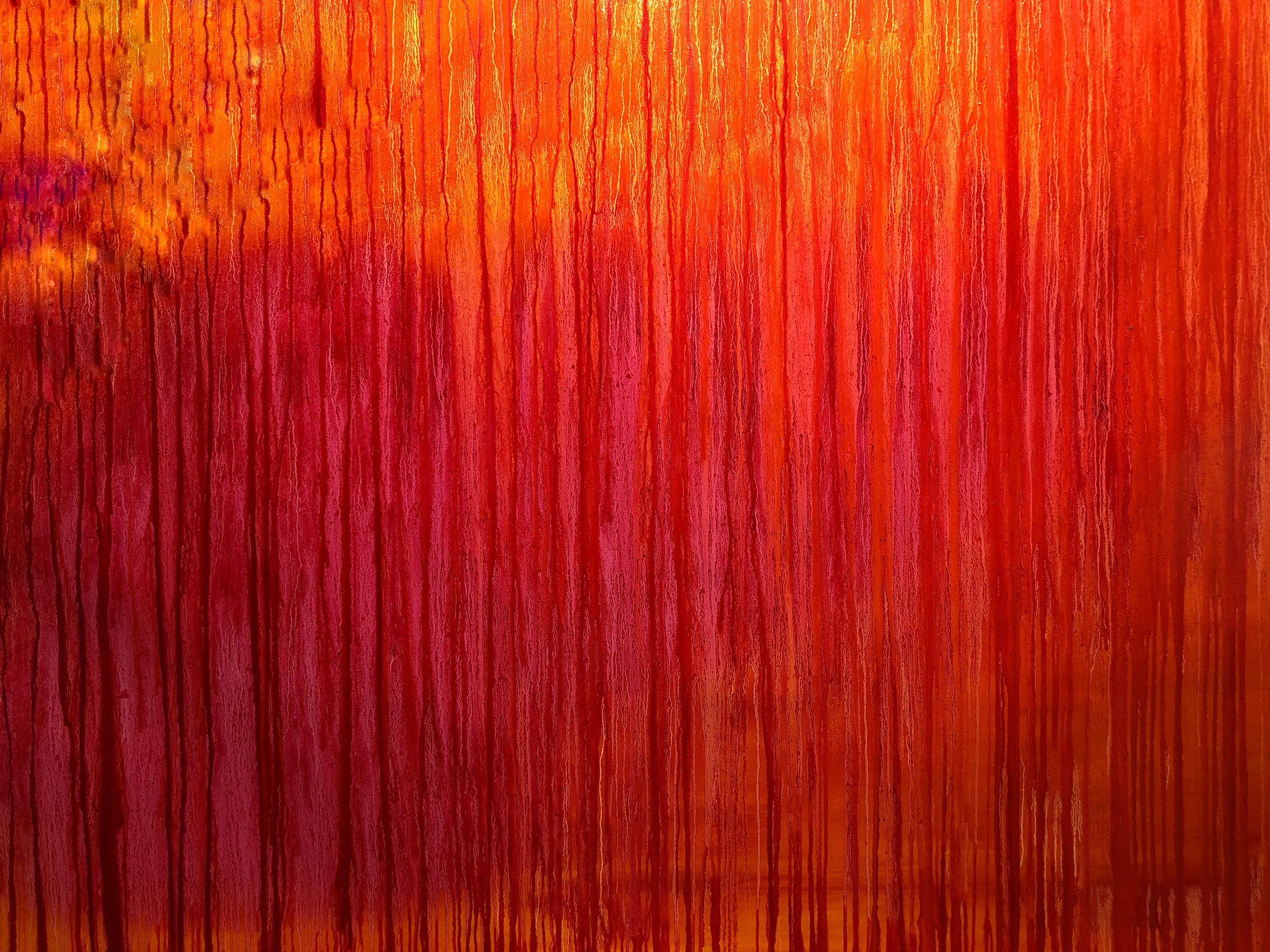 2019 50” X 68” OIL ON CANVAS