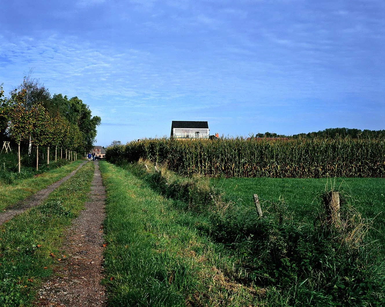Image01.jpg