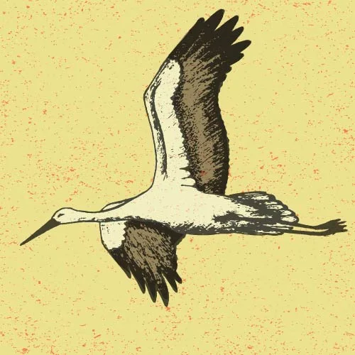 Gathas: Little Known Mindfulness Gems