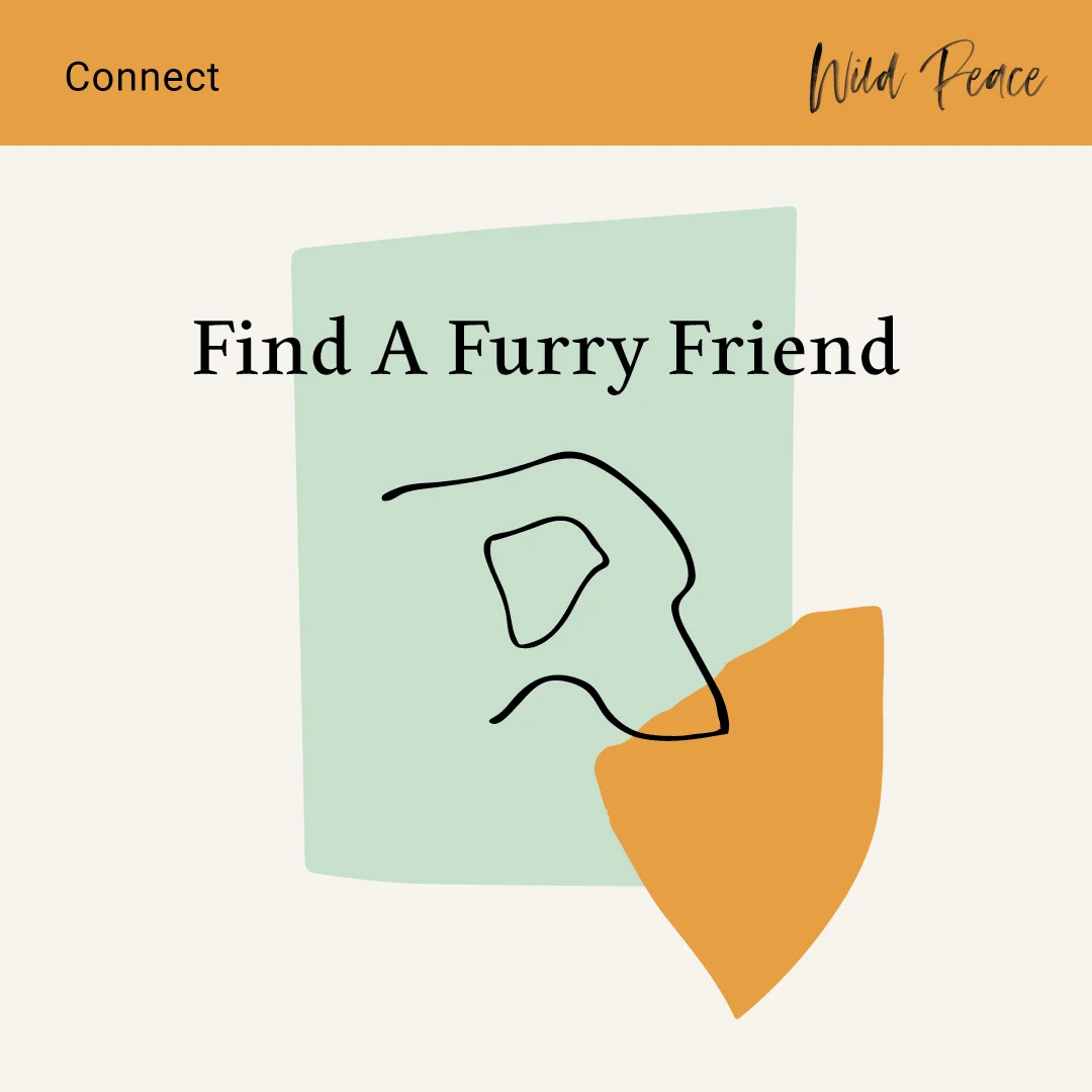 Connect-Furry-Friend.jpg