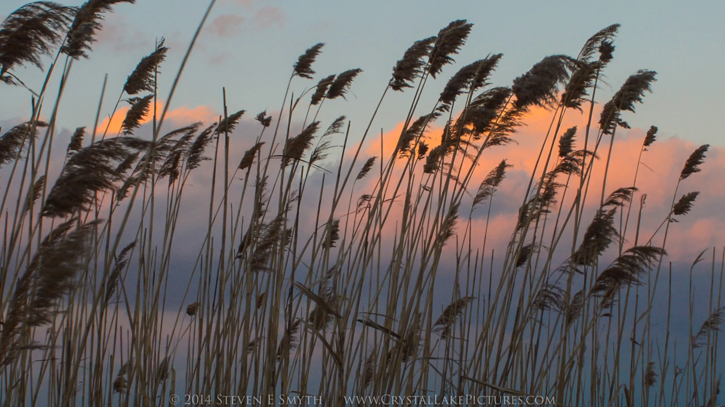 0007_2014NYE_reeds2-2.jpg
