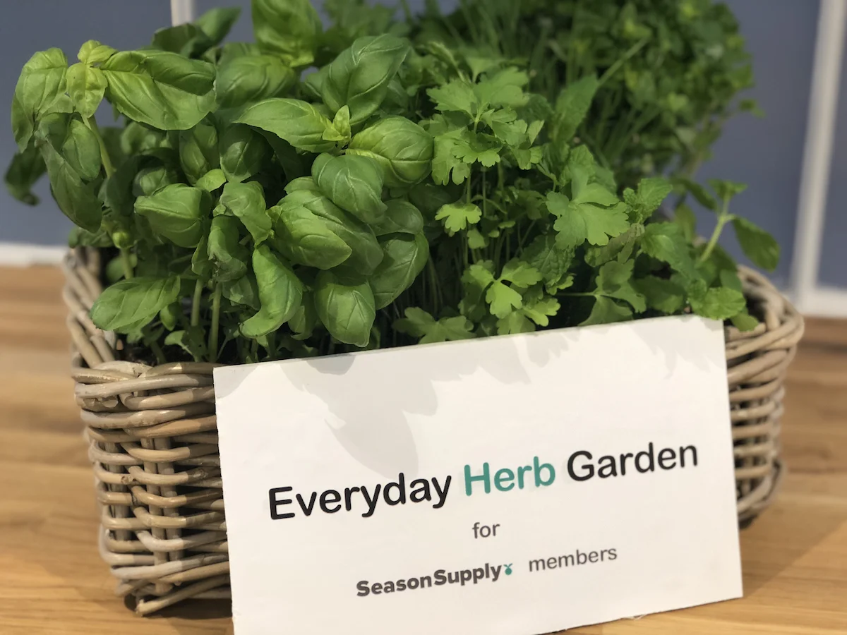herb.jpg