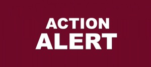 Action Alert