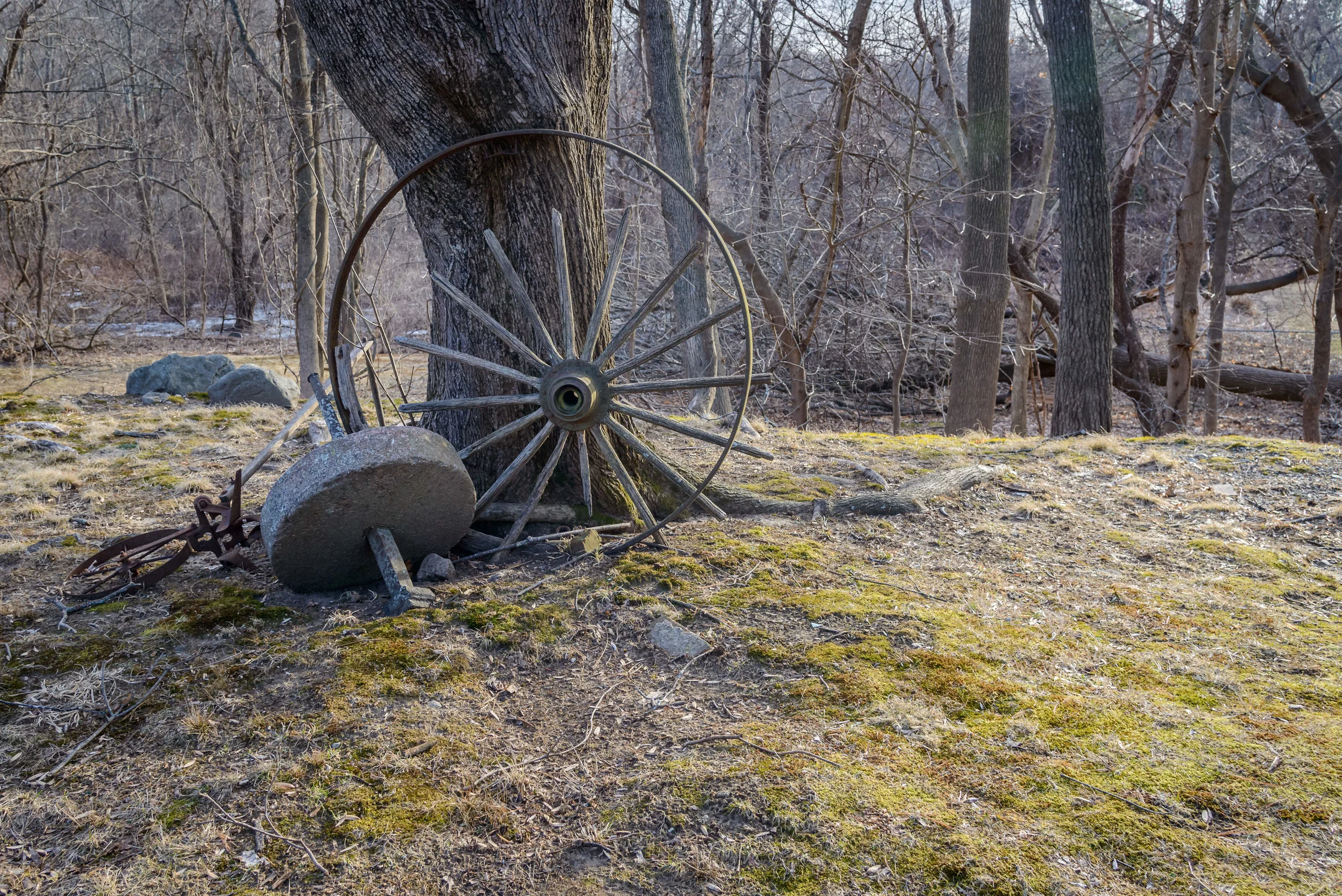 20190210-DSC_0636-HDR.jpg