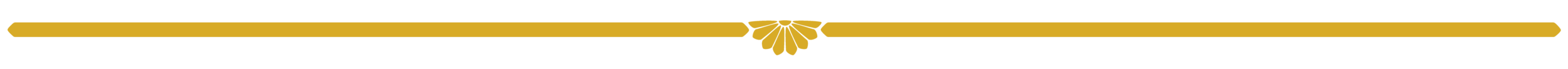 detail-01-01.png