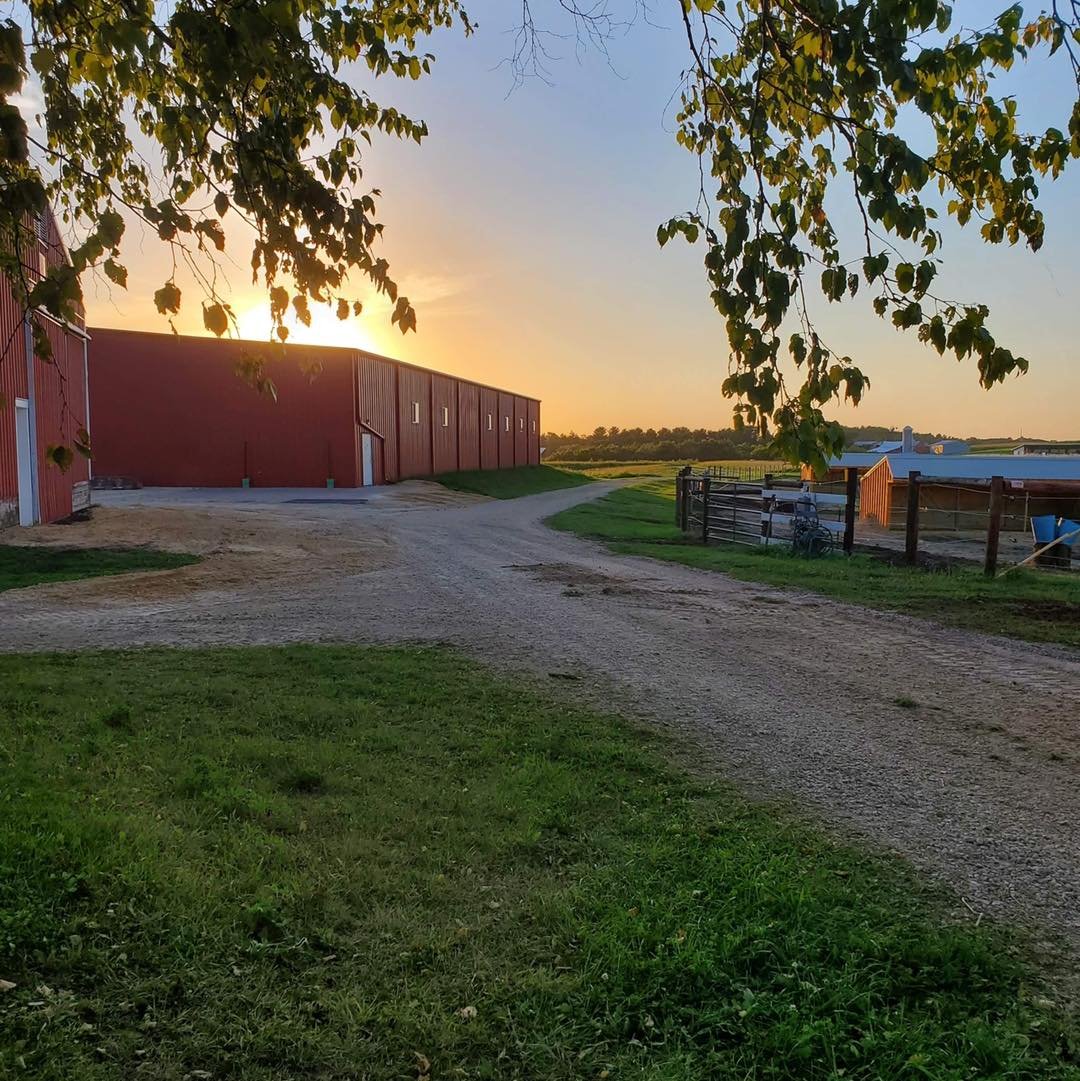 Overall Property View.jpg