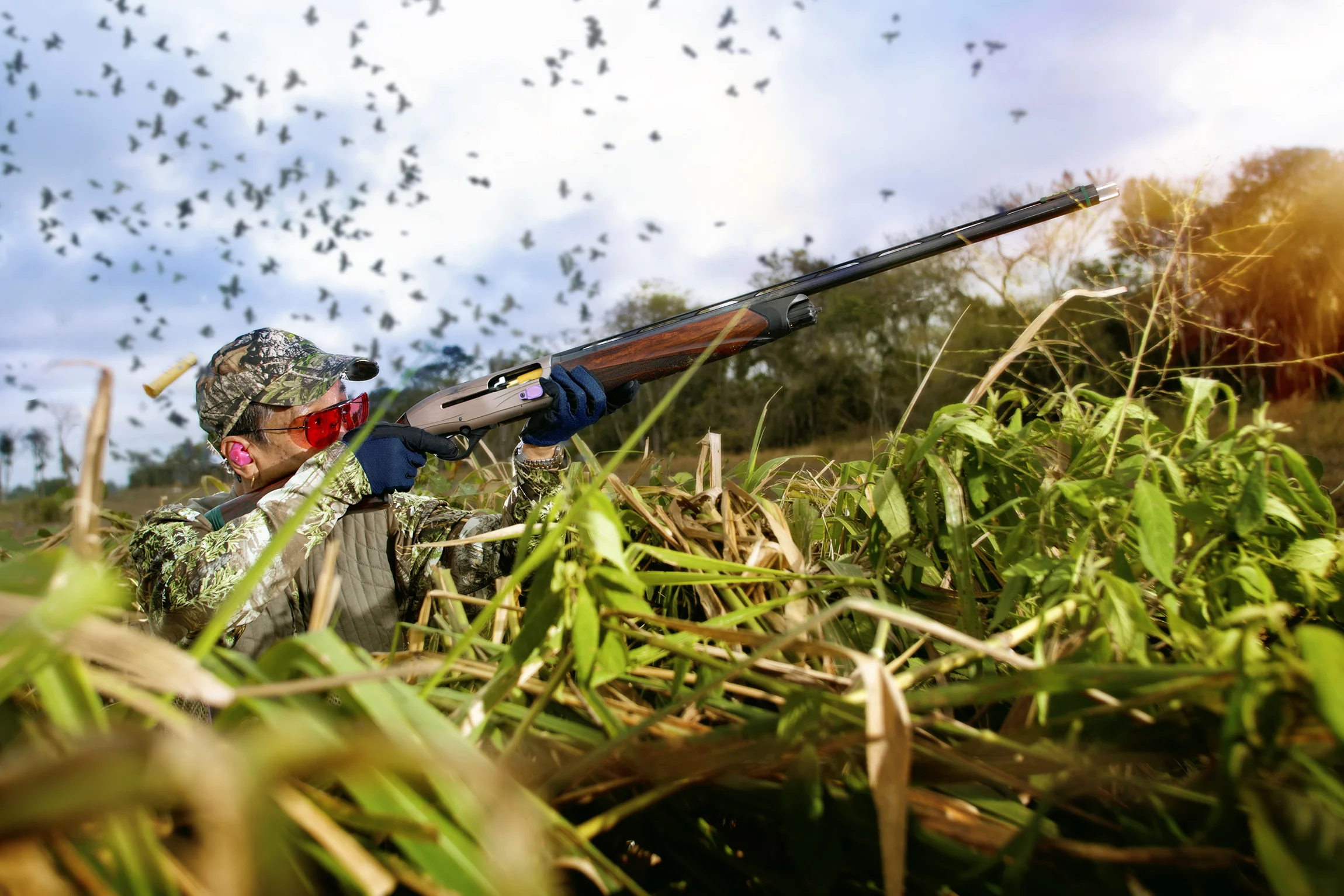 Bird Hunter.jpg