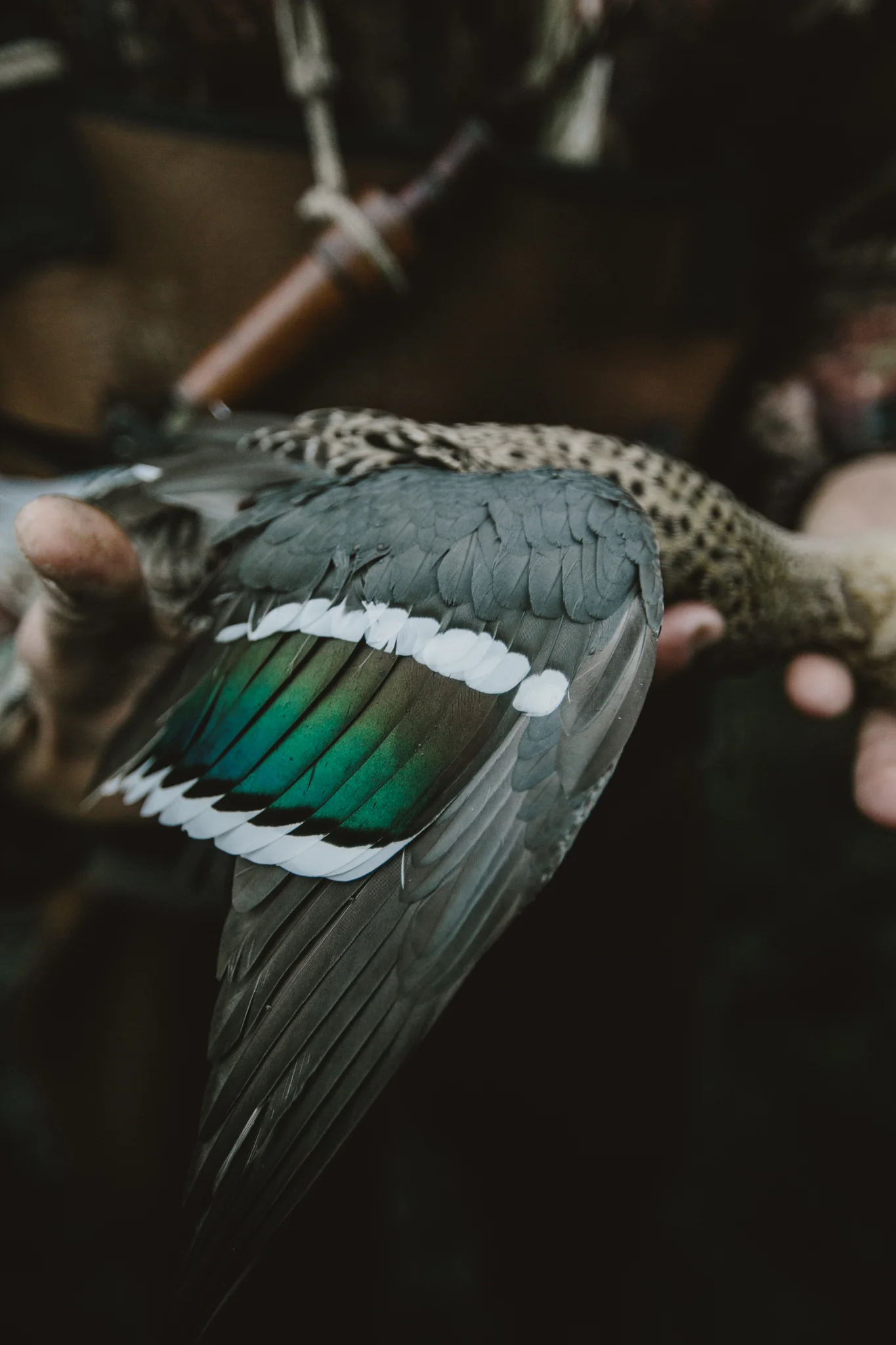 Field&Stream-46.jpg
