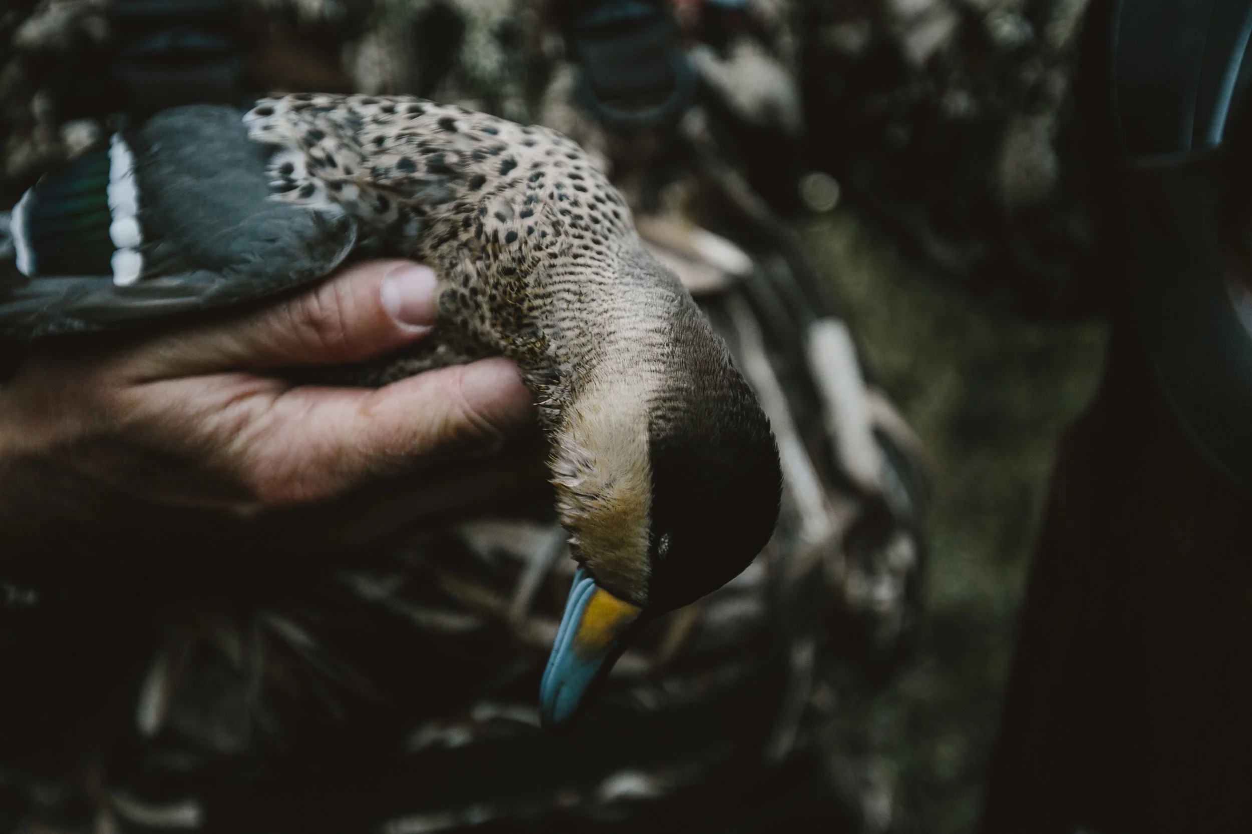 Field&Stream-49.jpg