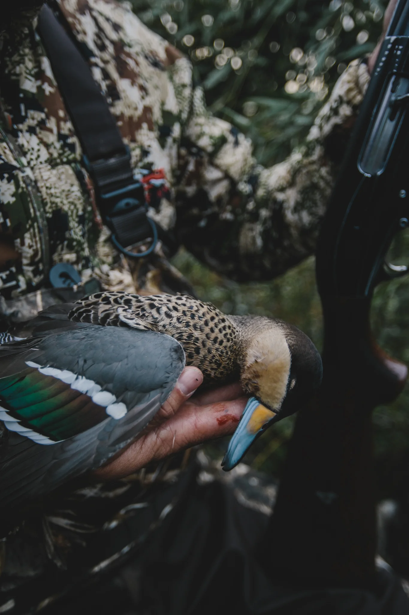Field&Stream-51.jpg