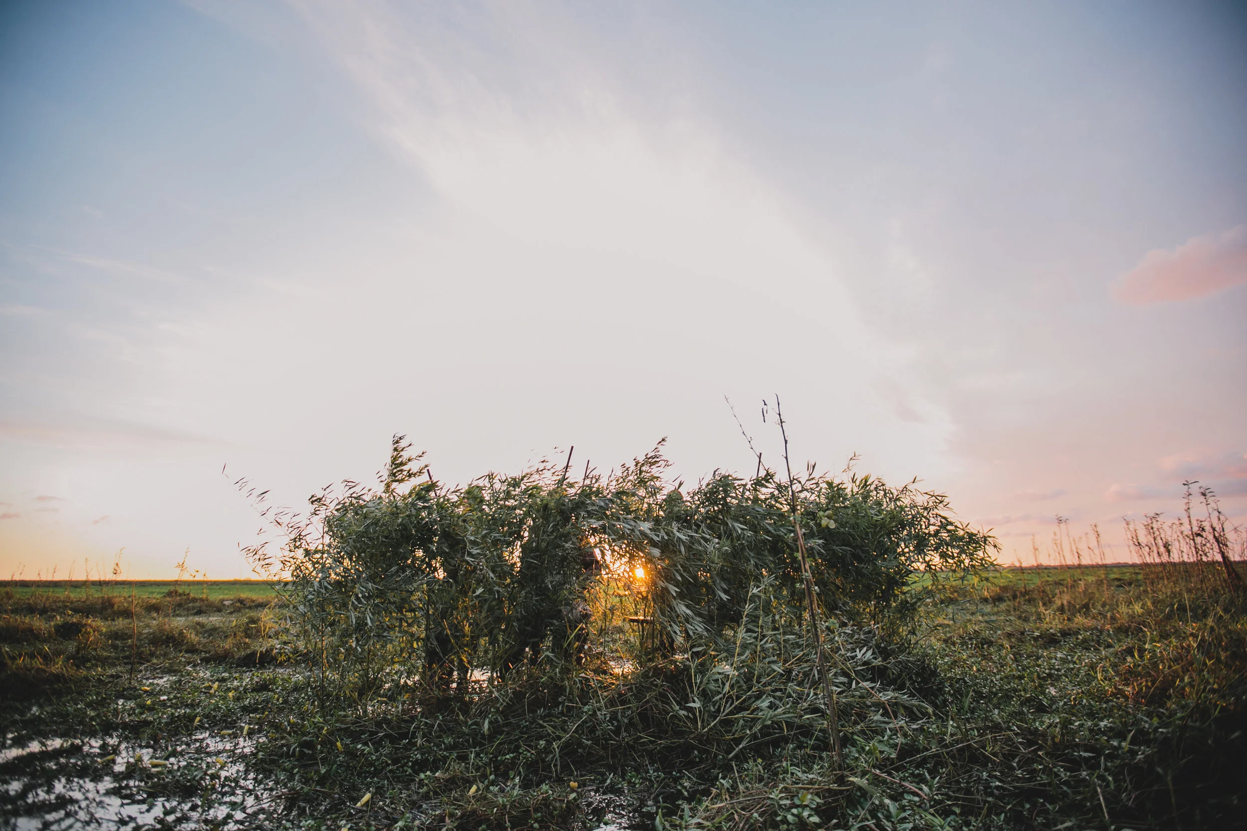 Field&Stream-62.jpg