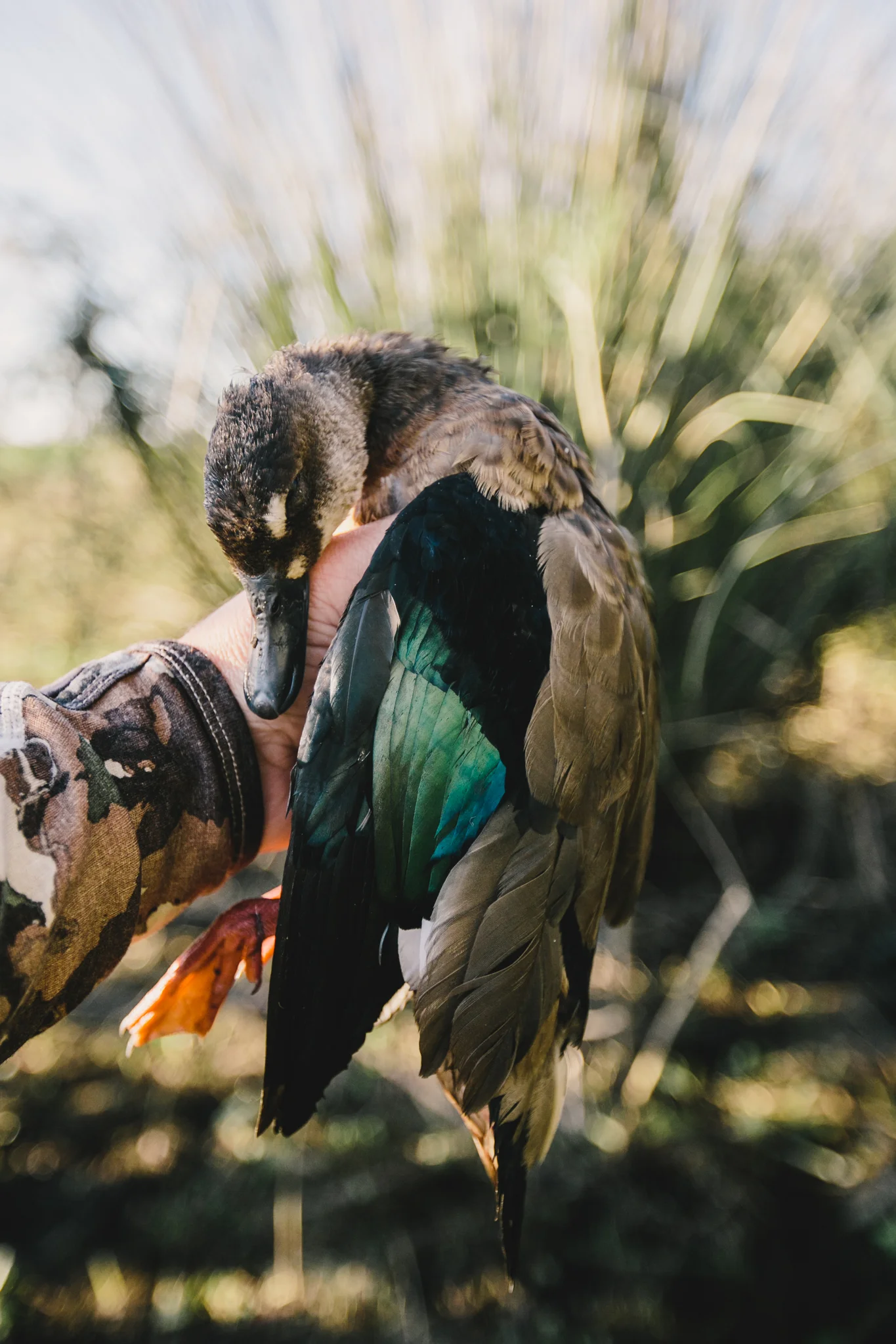 Field&Stream-104.jpg