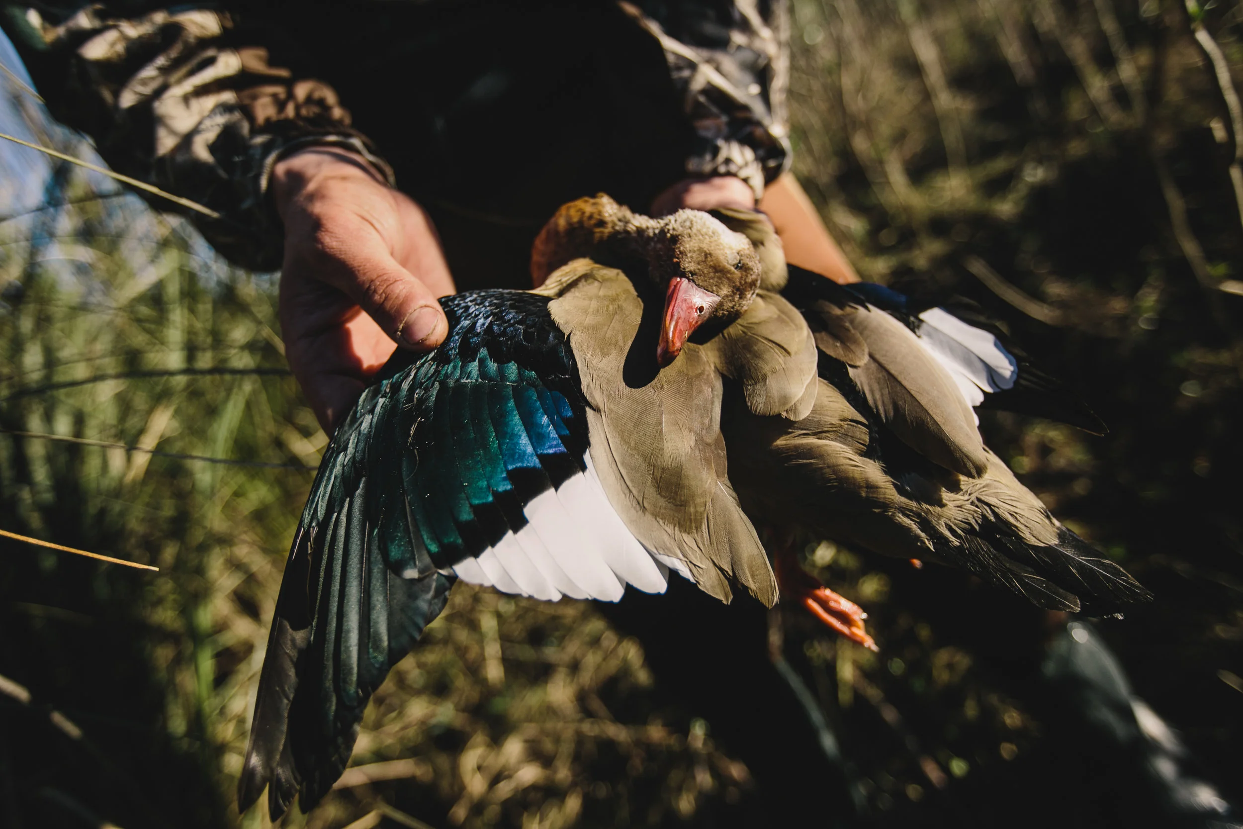Field&Stream-105.jpg