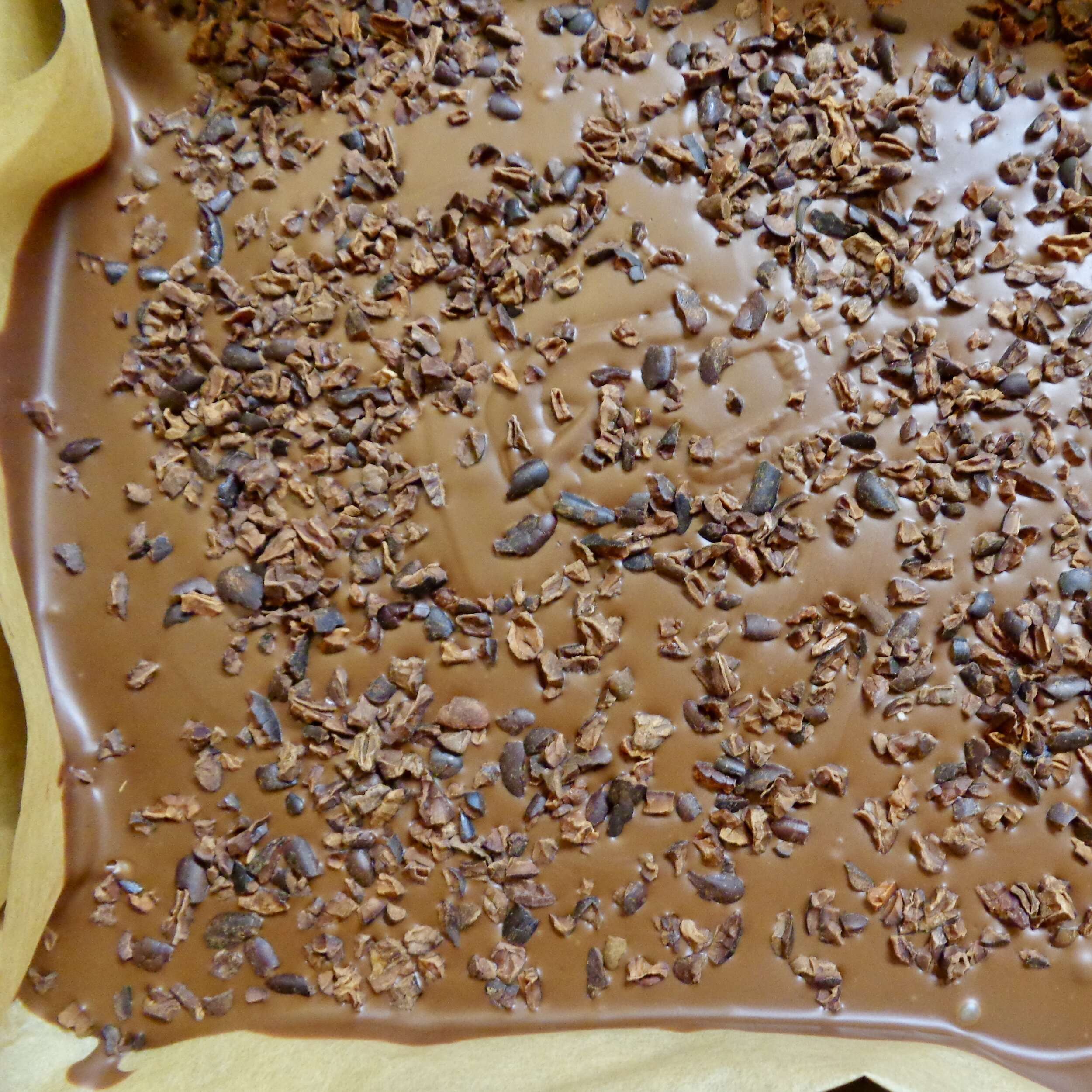 Slab of our pecan gianduja sprinkled with nibs.