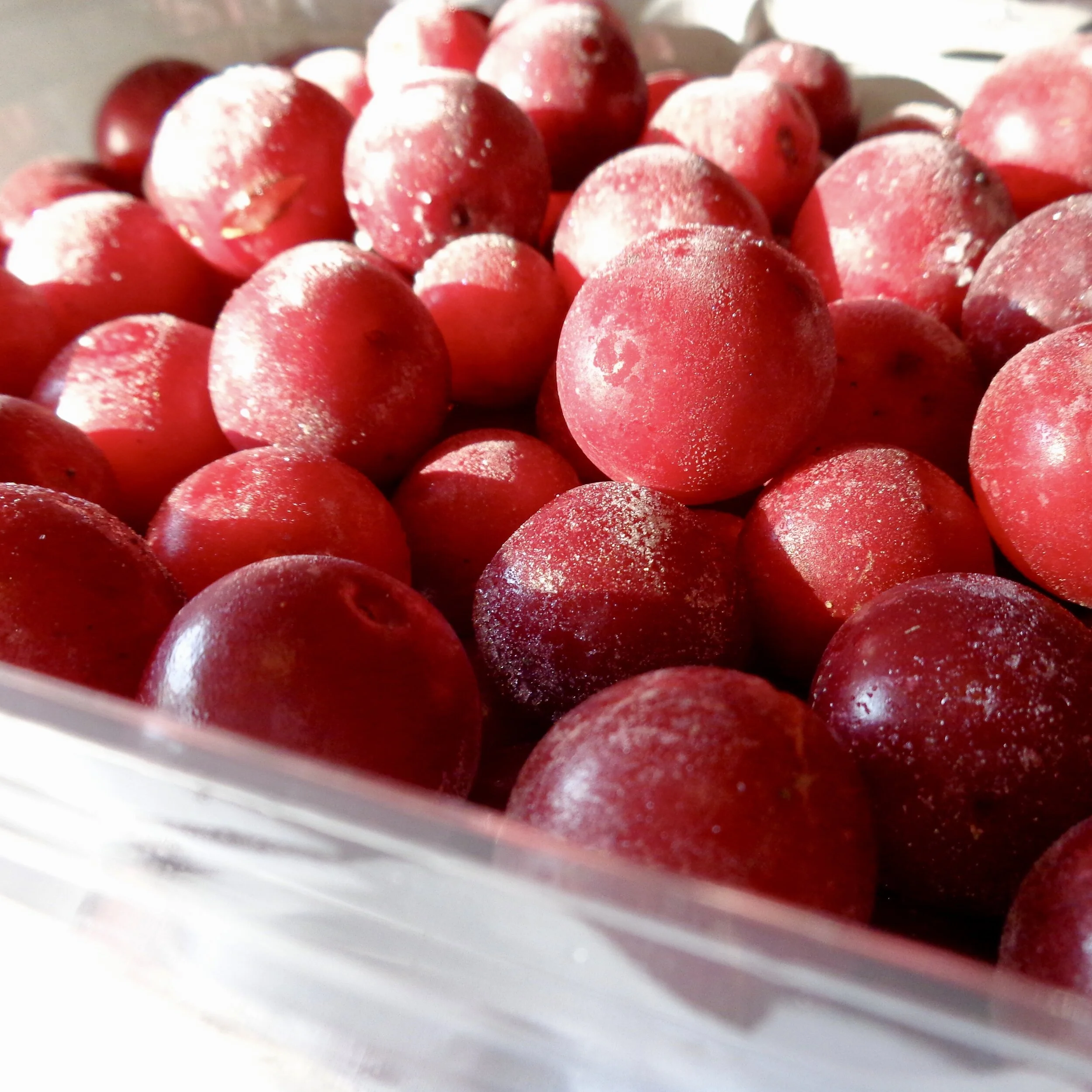Frozen plums from The Edible Source.