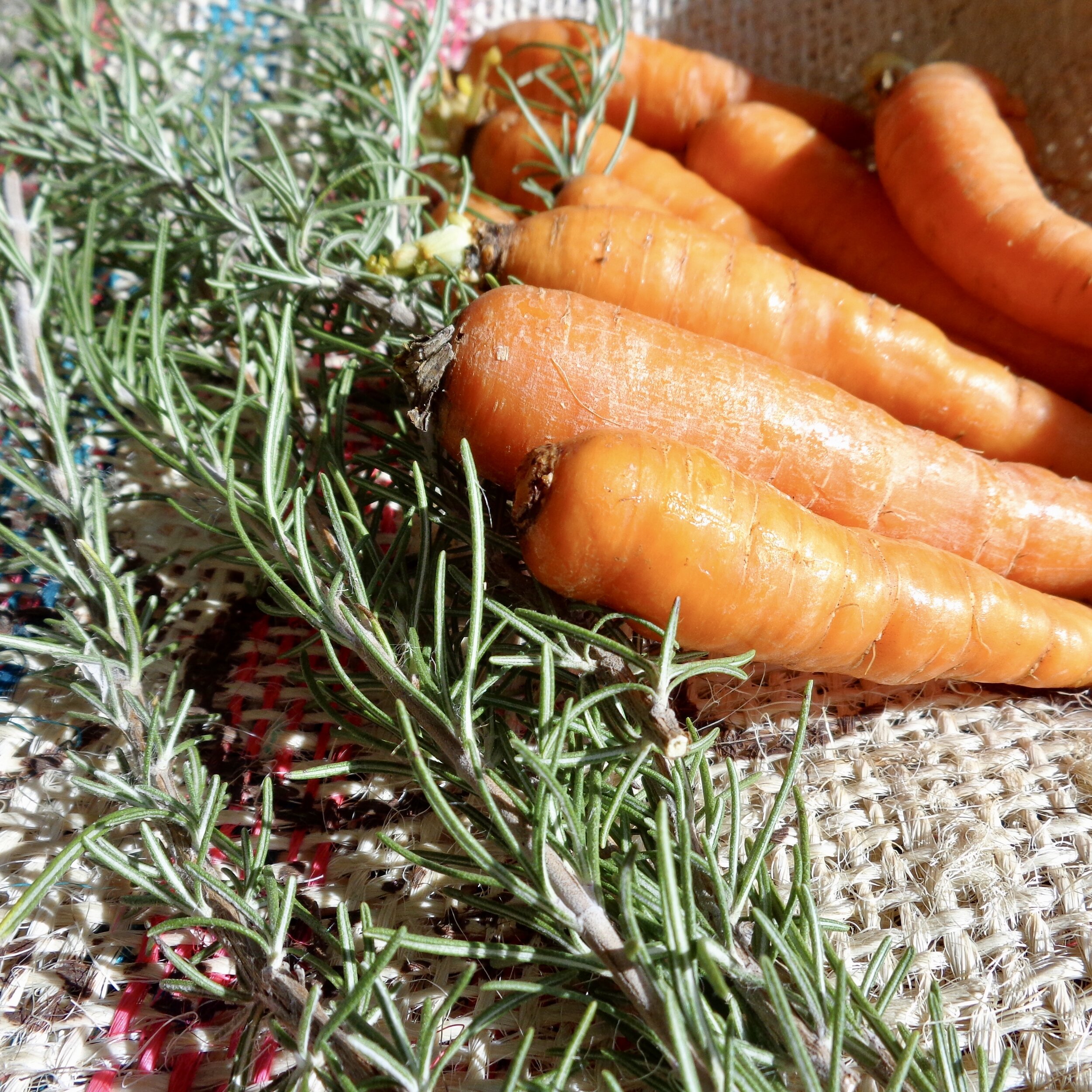 Rosemary and carrots from Prairie Plate.