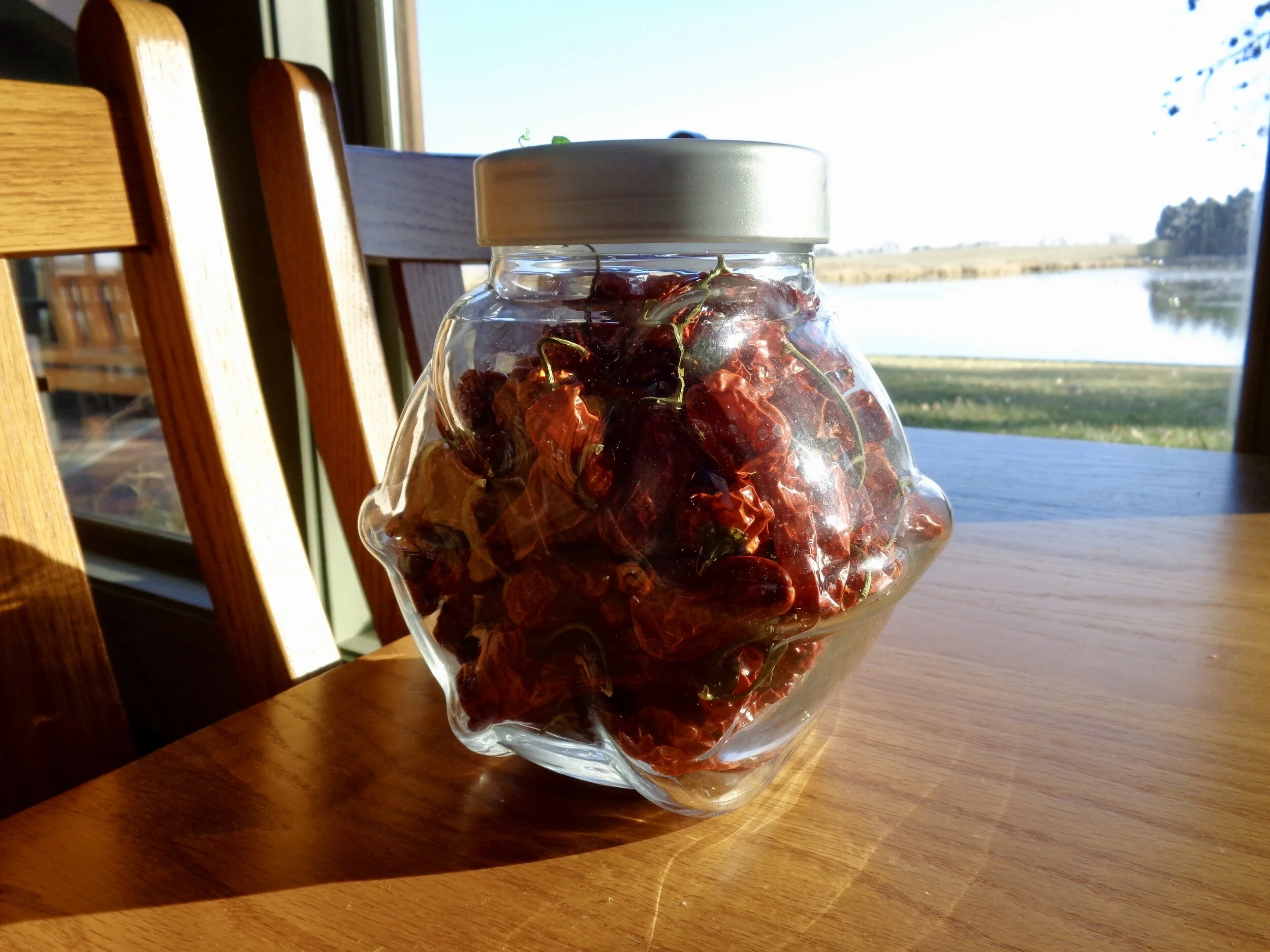 Actually these are not the Basque Espelette chilis, but another kind grown at Prairie Plate!