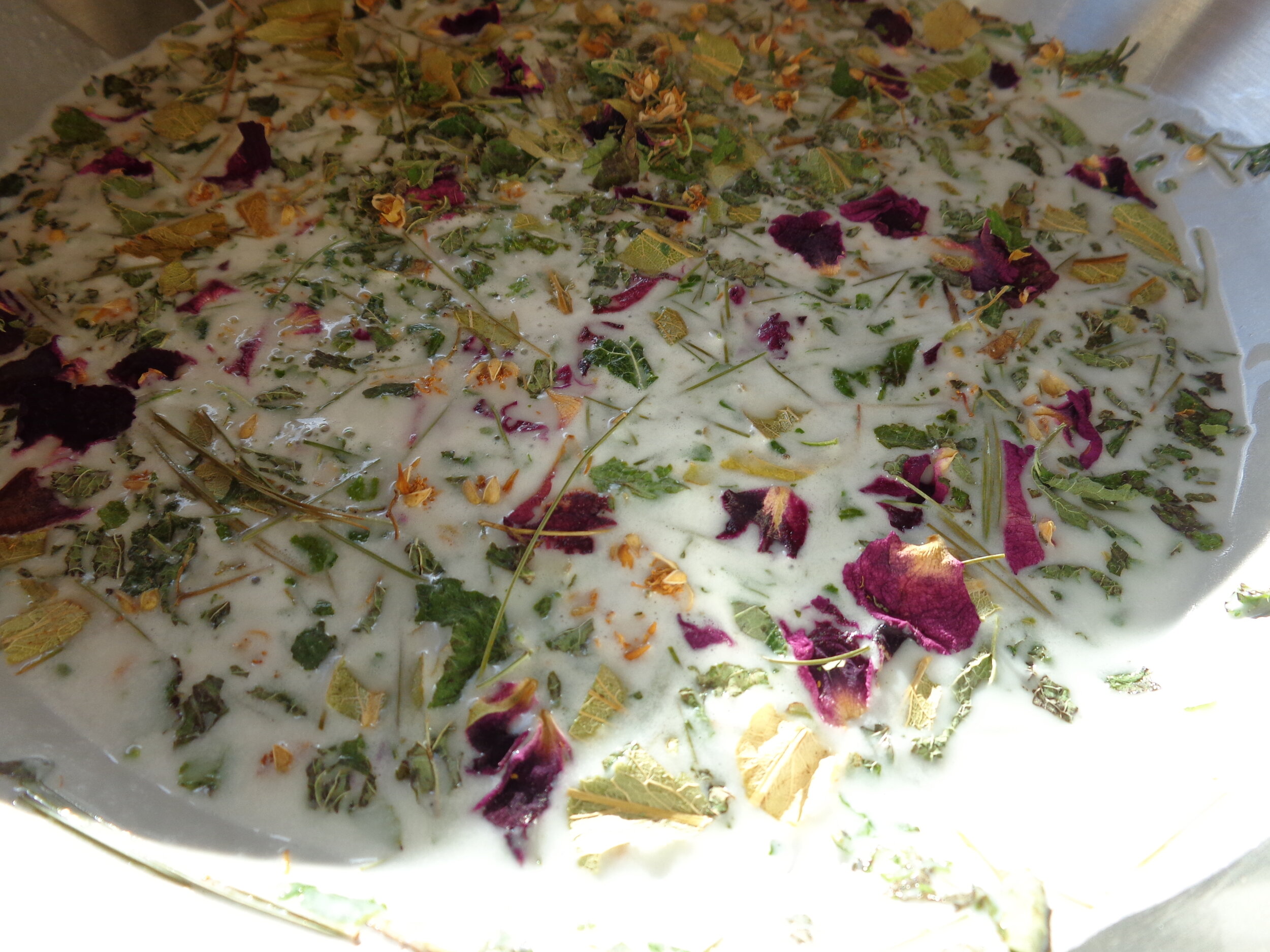 Arise Botanicals’ Bright Solstice blend of herbs infusing in coconut milk.